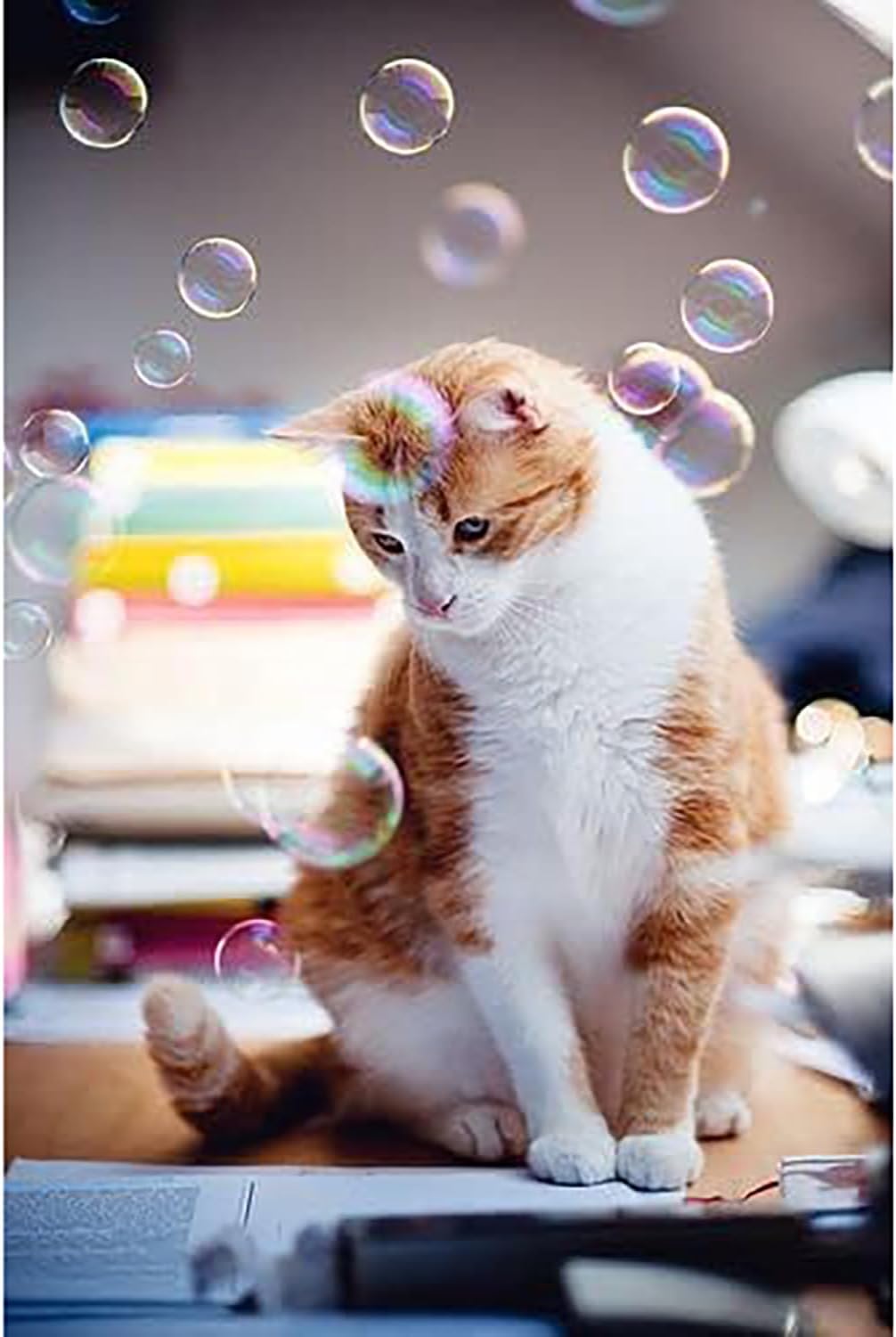 Hot Kitty Love Bubbles: 2 Pack Catnip Scented - 4oz Bottles, Catnip Infused Long Lasting Bubbles for Cats, Non-Toxic & Allergen-Free, Combine Toy & Treat