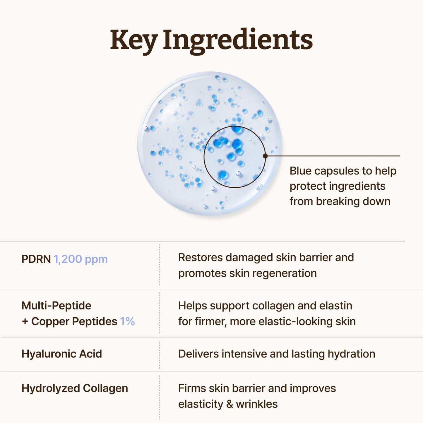 HotDr.Reju-All Advanced PDRN Copper Peptide Serum – GHK-Cu with PDRN Serum for Face – Copper Peptides for Firming & Skin Elasticity – with Hyaluronic Acid & Hydrolyzed Collagen Peptides – 1.01 Fl Oz
