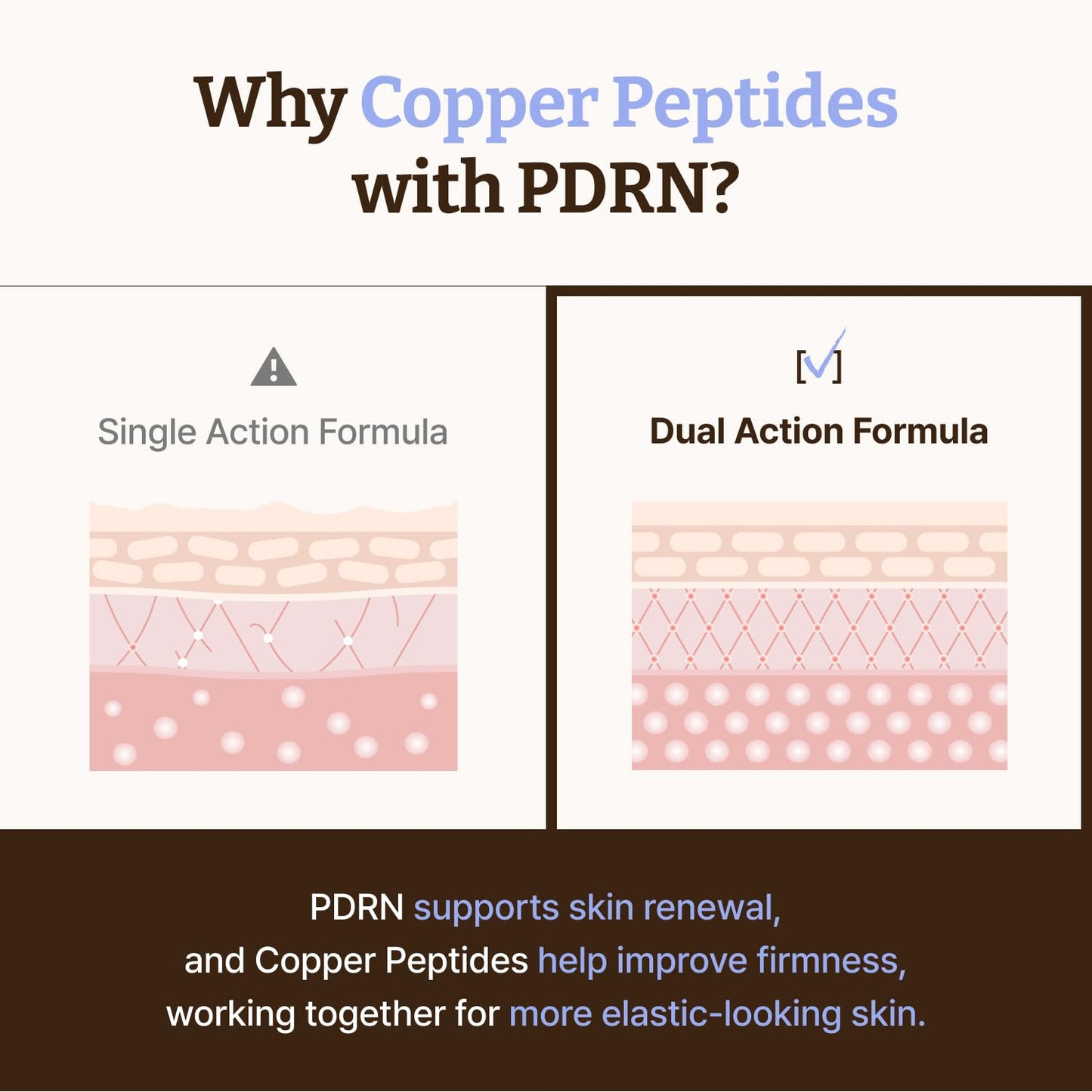 HotDr.Reju-All Advanced PDRN Copper Peptide Serum – GHK-Cu with PDRN Serum for Face – Copper Peptides for Firming & Skin Elasticity – with Hyaluronic Acid & Hydrolyzed Collagen Peptides – 1.01 Fl Oz