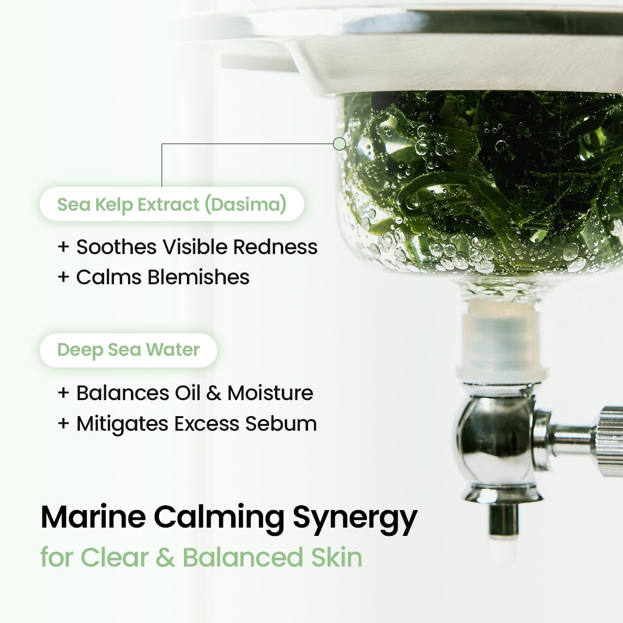 HotBIODANCE Refreshing Sea kelp Real Deep Mask, Overnight Hydrogel Face Mask, Calming, Oil & Sebum Control, Blemish Care, After Sun Care, Sunburn Relief, Korean Skin Care | 1.19oz(34g) x 4ea