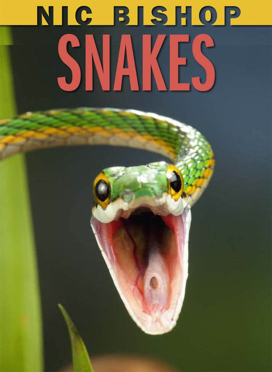 Hot Nic Bishop: Snakes