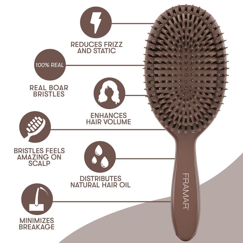 HotFRAMAR Soft Boar Bristle Hair Brush For Women – Boars Hair Brush For Women, Boar Brush For Fine Hair, Hairbrush For Fine Hair, Soft Bristle Brush For Slick Back, Volume and Shine - Chocolate