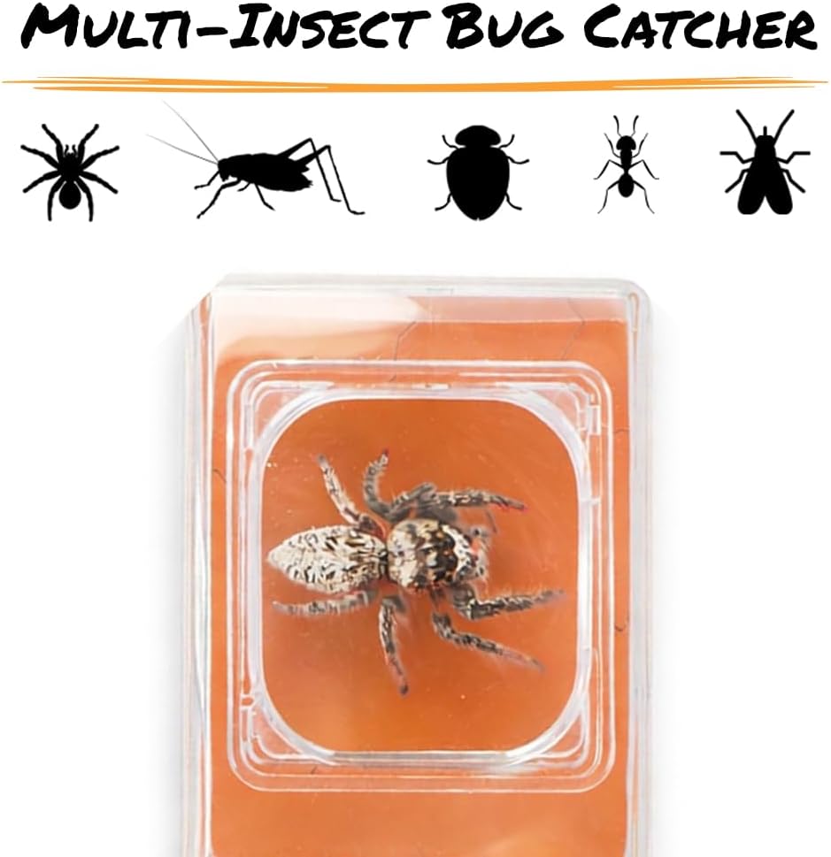 HotCarson BugView 5X Magnifying Glass Quick-Release Bug Catcher Indoor and Outdoor Tool for Kids or Adults (HU-10)