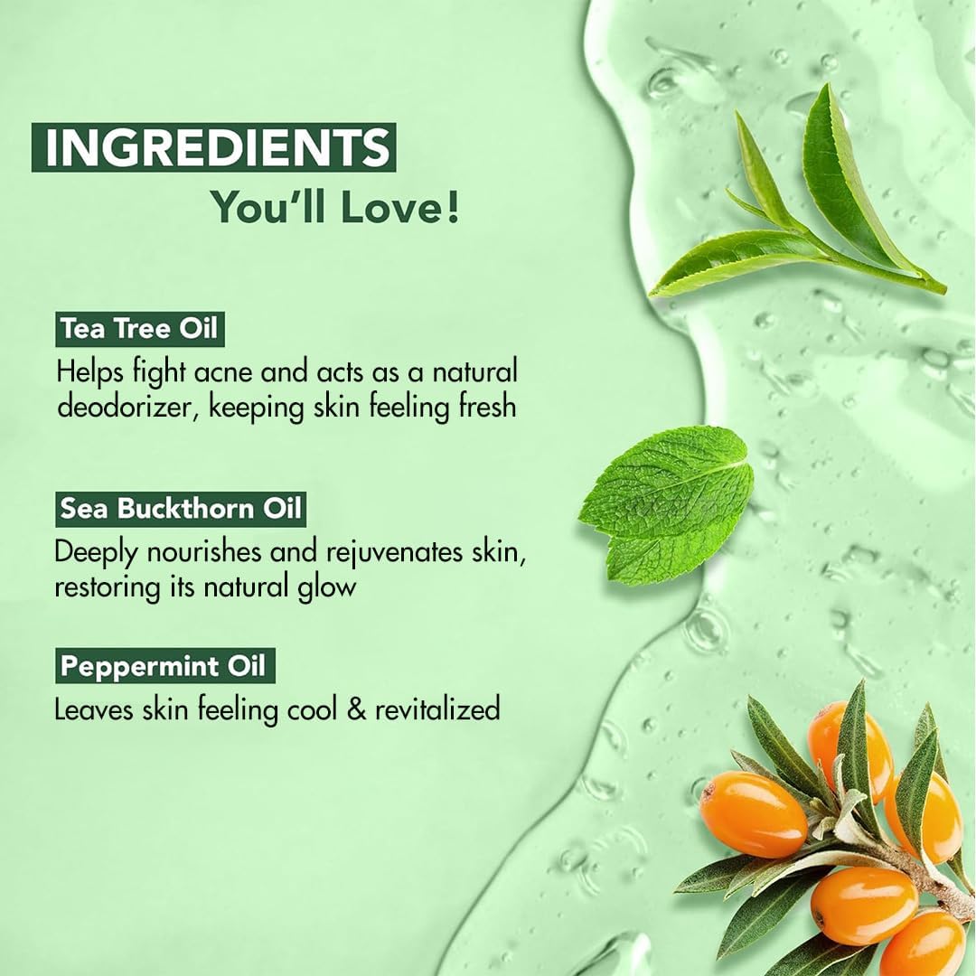 HotBotanic Hearth Tea Tree Body Wash, 16 Fl Oz (473 ml) Pack of 2 | With Tea Tree Oil, Peppermint & Sea Buckthorn | Gently Cleanses, Refreshes & Nourishes Skin | Sulfate & Paraben Free | For Men & Women