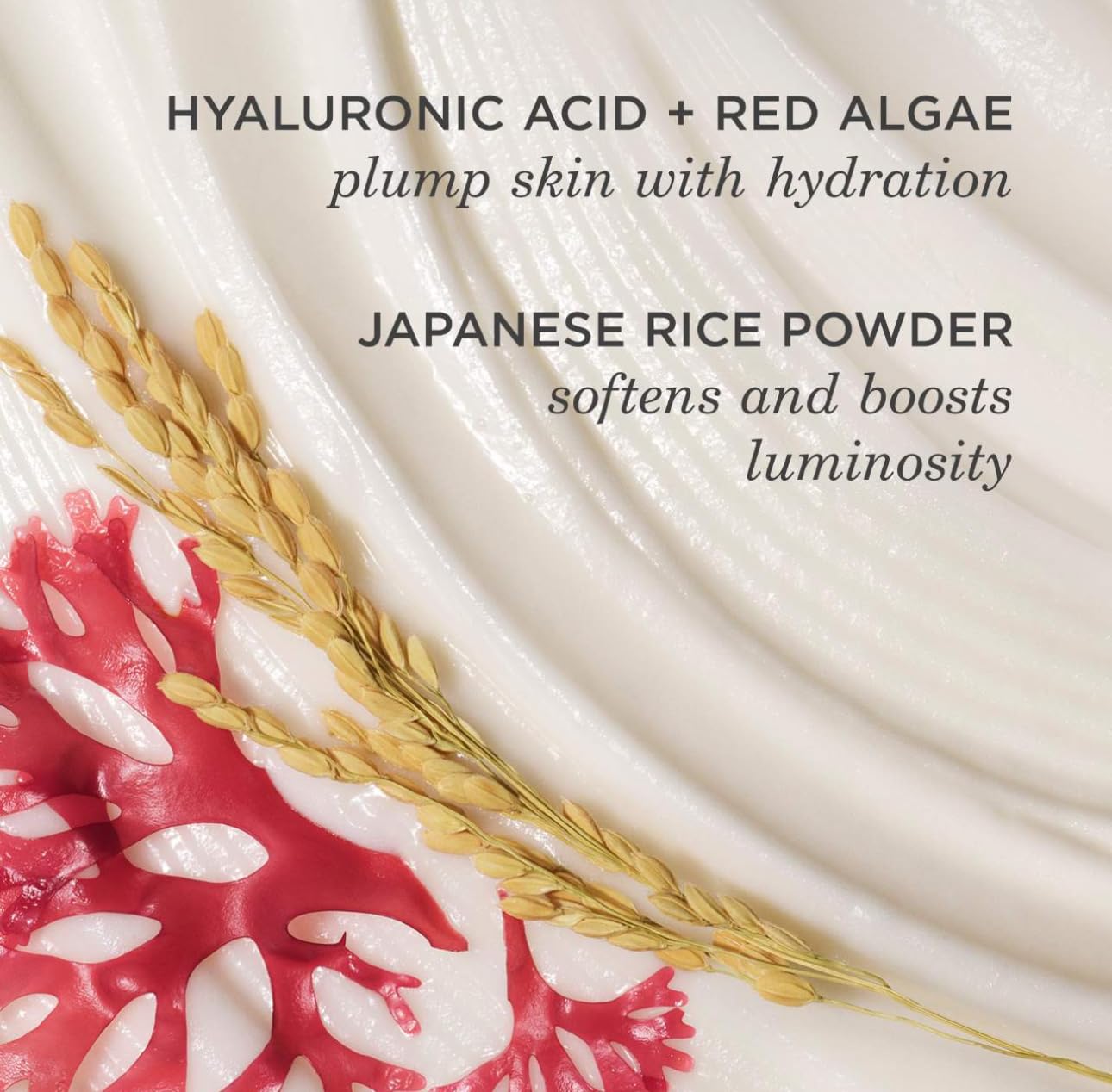 HotTATCHA The Rice Wash, Soft Cream Facial Cleanser, Wash Away Buildup Without Stripping Skin For A Soft, Luminous Complexion