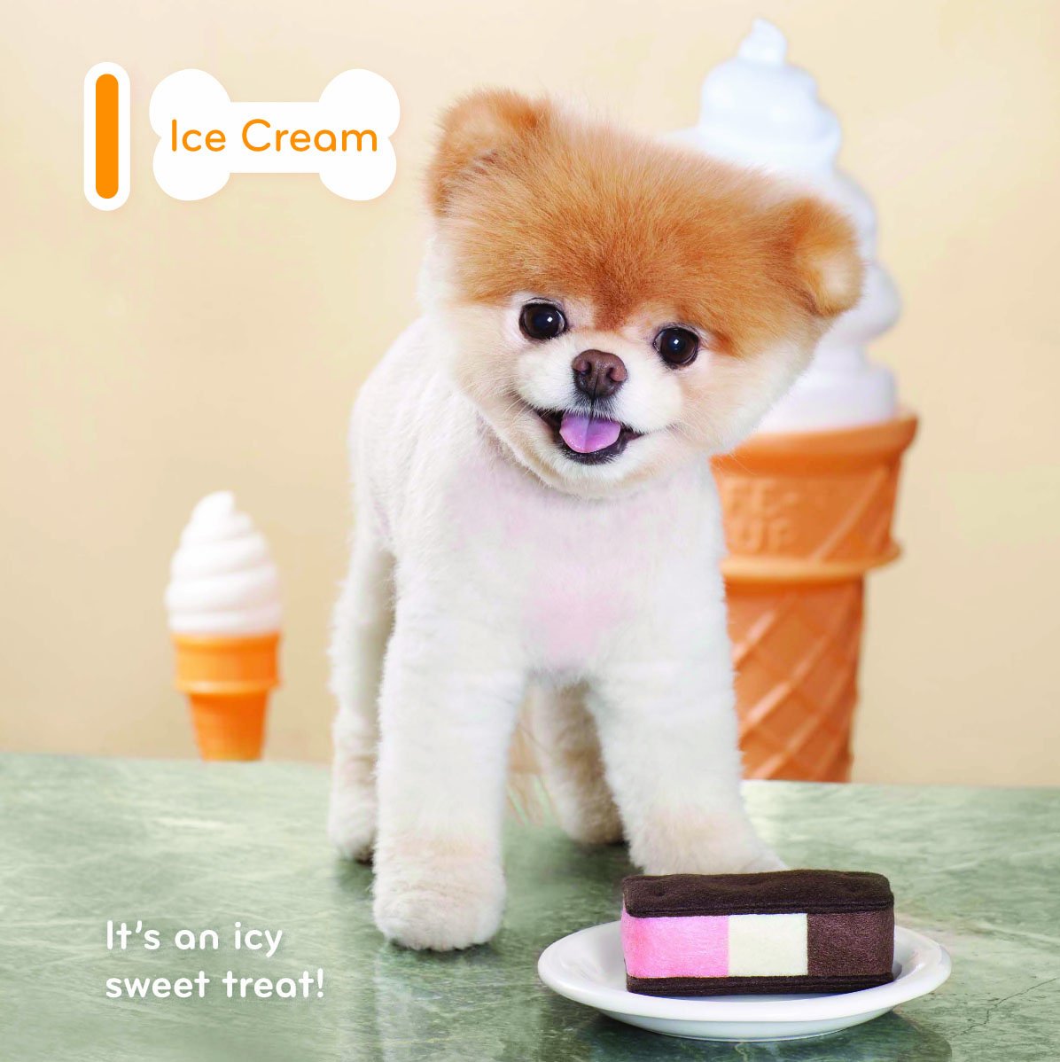 Hot Boo ABC: A to Z with the World's Cutest Dog