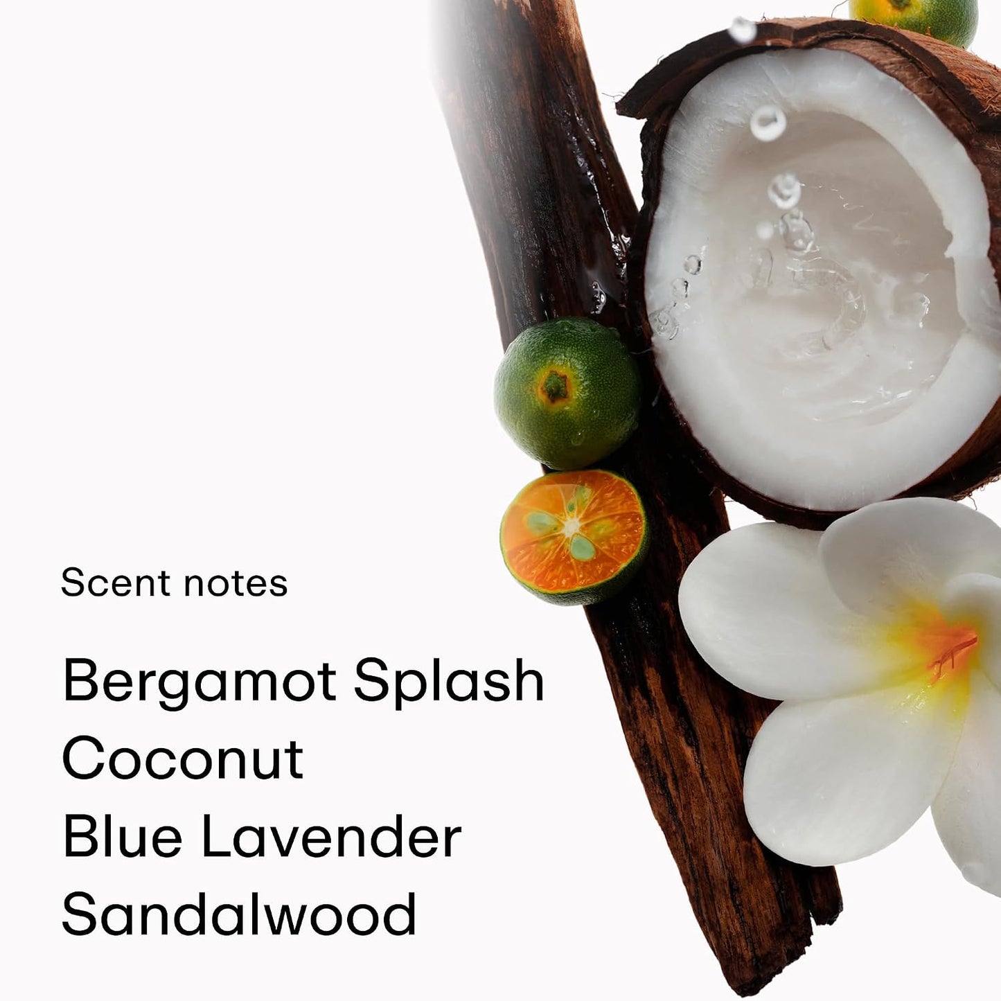 Hot PHLUR Island Swim Body Mist, 8 Fl Oz - Hair and Body Perfume | Tropical Citrus Coconut Body Spray with Bergamot, Plumeria & Sandalwood Fragrance