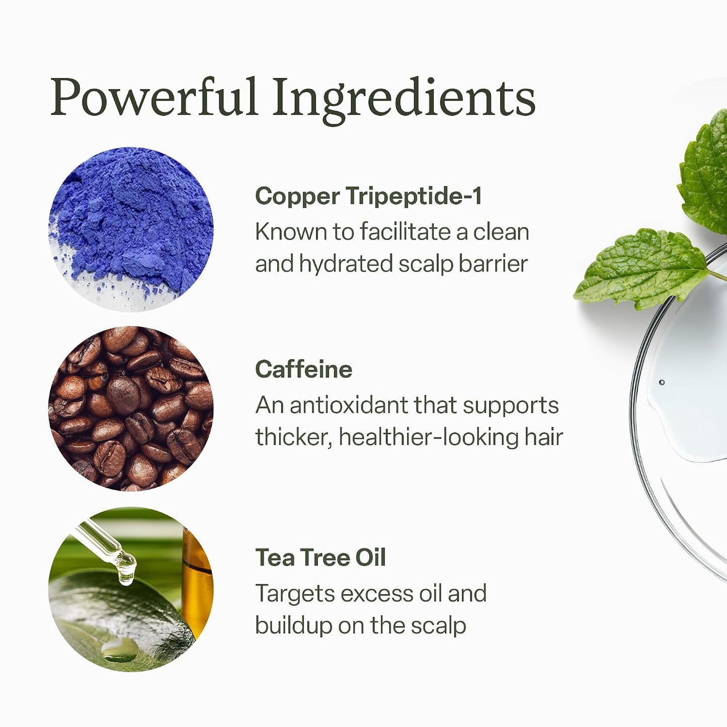 HotDivi Scalp Serum | To Promote Fuller-Looking Hair with Peptides | 30ml