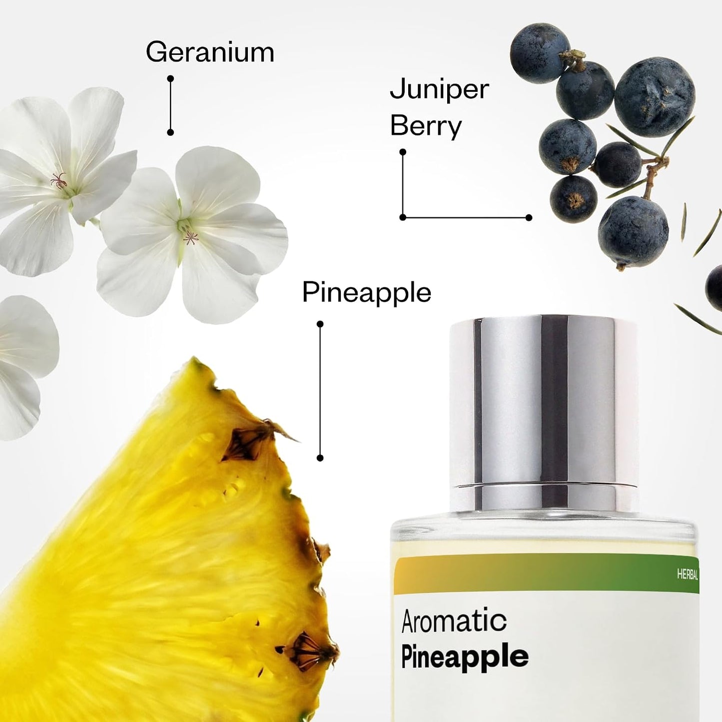 Hot Dossier - Aromatic Pineapple - Eau de Parfum - Inspired by Y - Long-Lasting Fragrance - Masculine - 1.7 fl oz (50ml)