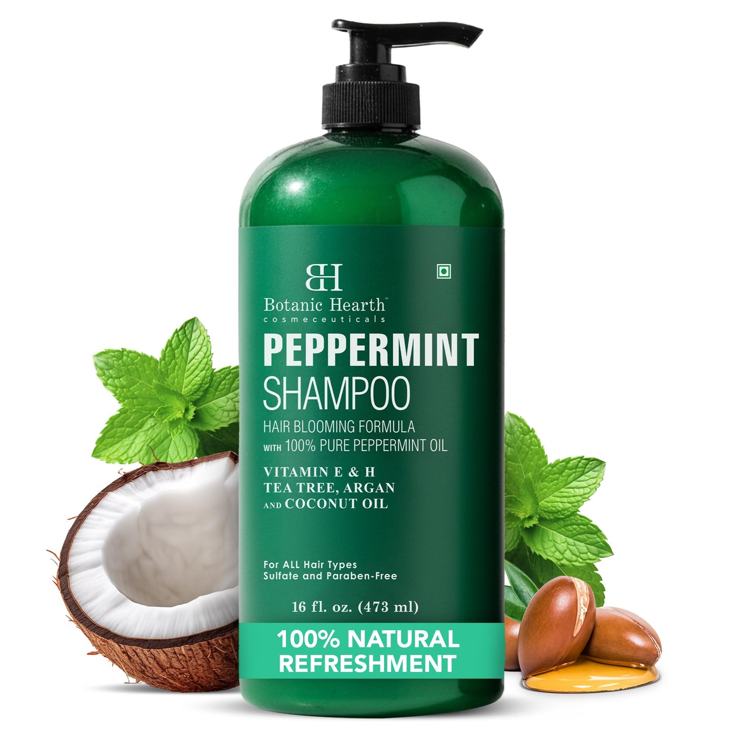 HotBotanic Hearth Tea Tree Shampoo, Vitamin C, Peppermint, Lavender and Rosemary Oil, Fights Dandruff and Dry Scalp, 16 fl oz