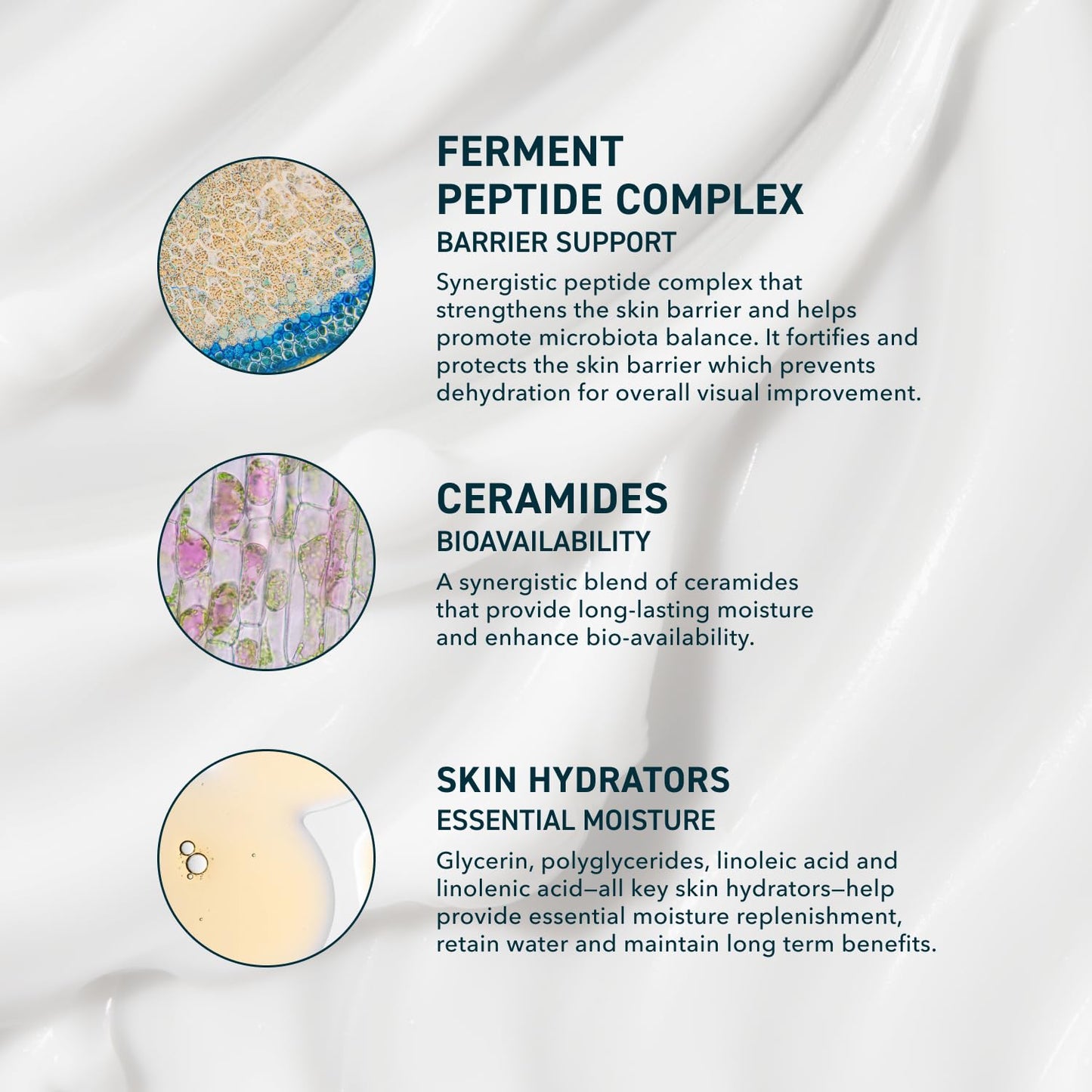 HotPrequel Skin AM/PM Modern Moisturizer – Hydrating Face Cream with Peptides, Ceramides & Glycerin for Dry, Sensitive, or Combination Skin – Non-Greasy Moisturizer for Barrier Support