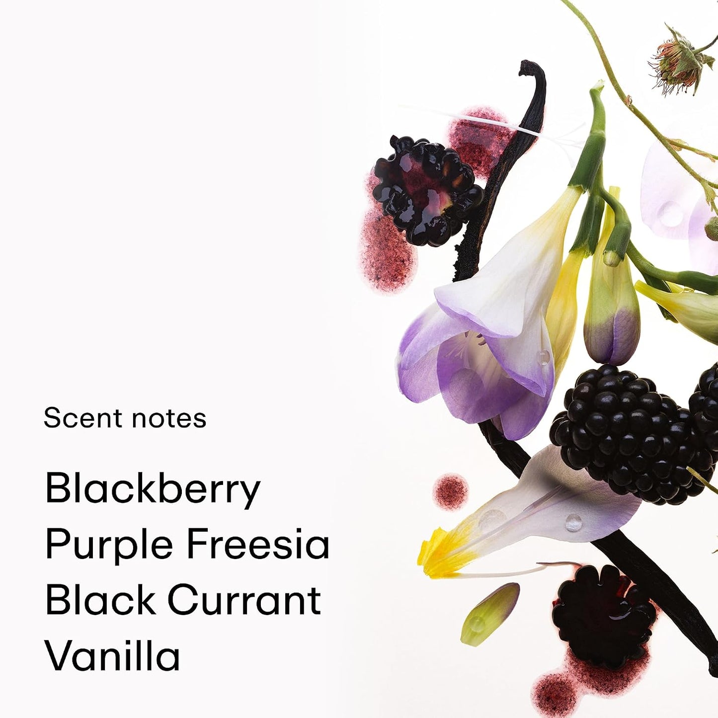 Hot PHLUR Vanilla Blackberry Body Mist, 8 Fl Oz - Hair and Body Perfume | Vanilla Perfume Body Spray with Blackberry, Raspberry Blossom and Warm Amber Fragrance