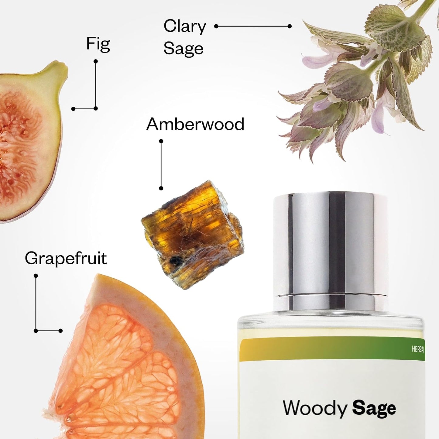 Hot Dossier - Woody Sage - Eau de Parfum - Inspired by Wood Sage & Sea Salt - Long-Lasting Fragrance - Unisex - 1.7 fl oz (50ml)