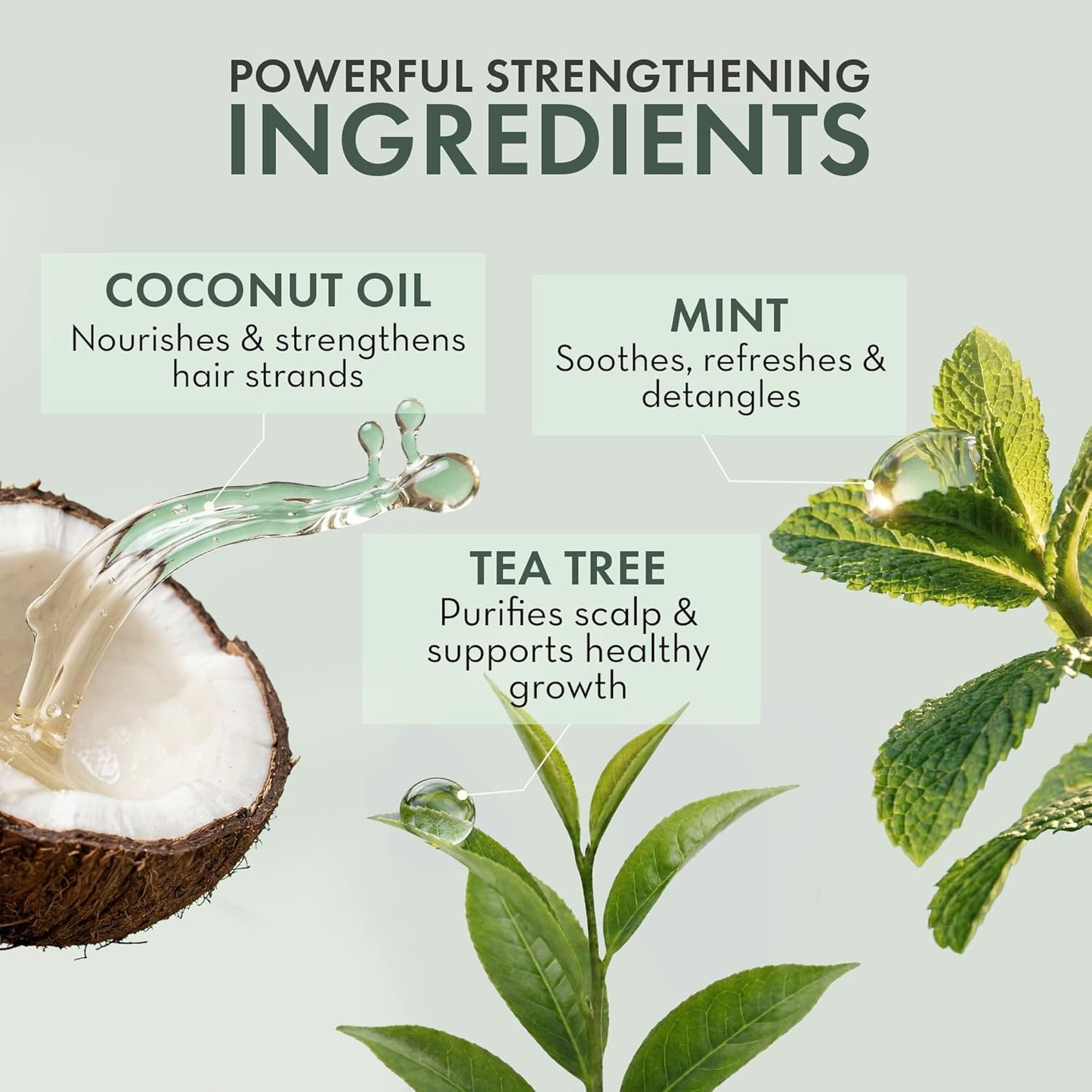 HotLeave In Conditioner Spray - Tea Tree Scalp Treatment | Anti-Dandruff and Dry & Itchy Scalp, Hydrating & Medicated Formula for Psoriasis and Scalp Care - Detangles & Nourishes Hair.