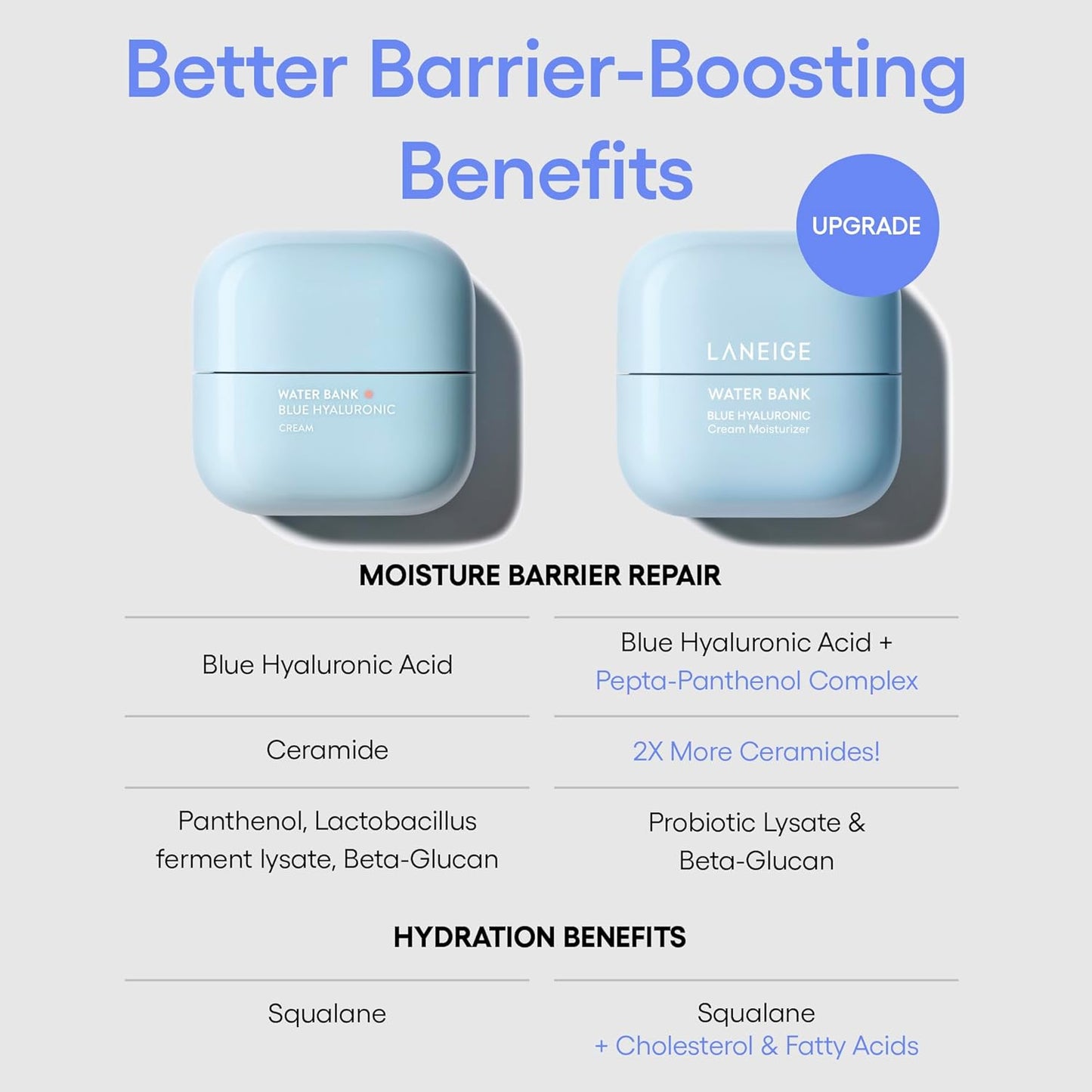 HotWater Bank Blue Hyaluronic Acid Cream Daily Face Moisturizer: Hydrating Korean Lightweight Face Cream with Ceramides & Squalane for Lasting Deep Hydration & Skin Barrier Support