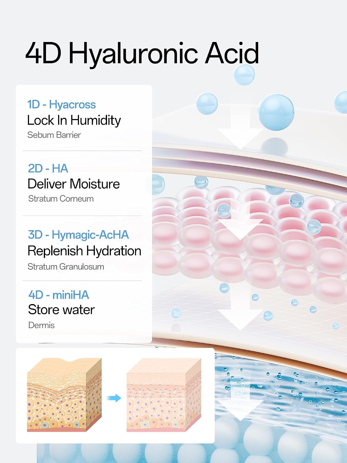 HotWNP Hyaluronic Acid Serum 3% for Face with 4D Multi-Layer Hydration | Ultra Hydrating Anti-Aging Serum | Moisturizer for Dry & Sensitive Skin | Pre-Makeup Skincare | Single-Use Vials 30PCS