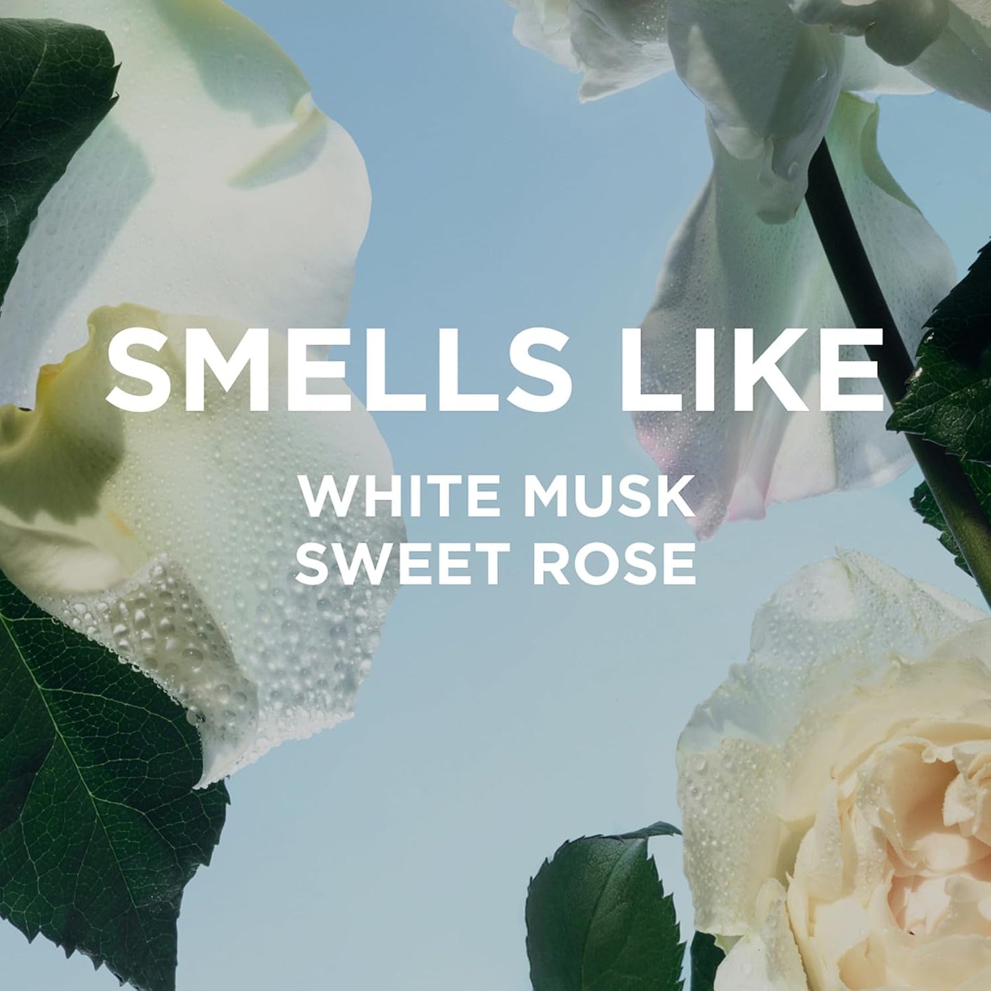 Hot By Rosie Jane Travel Perfume Spray (Rosie) - Clean Perfume for Women - Non-Toxic Body Mist with Notes of White Musk & Sweet Rose - Paraben, Sulfate & Phthalate Free (10ml)