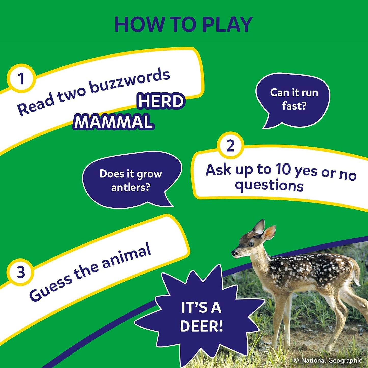 Hot Skillmatics Guess in 10 – National Geographic Animals, Card Game for Kids | Educational Game for Families, Animal Trivia & Travel Game, Screen-Free Fun, Gifts for Kids Ages 6, 7, 8, 9 and Up