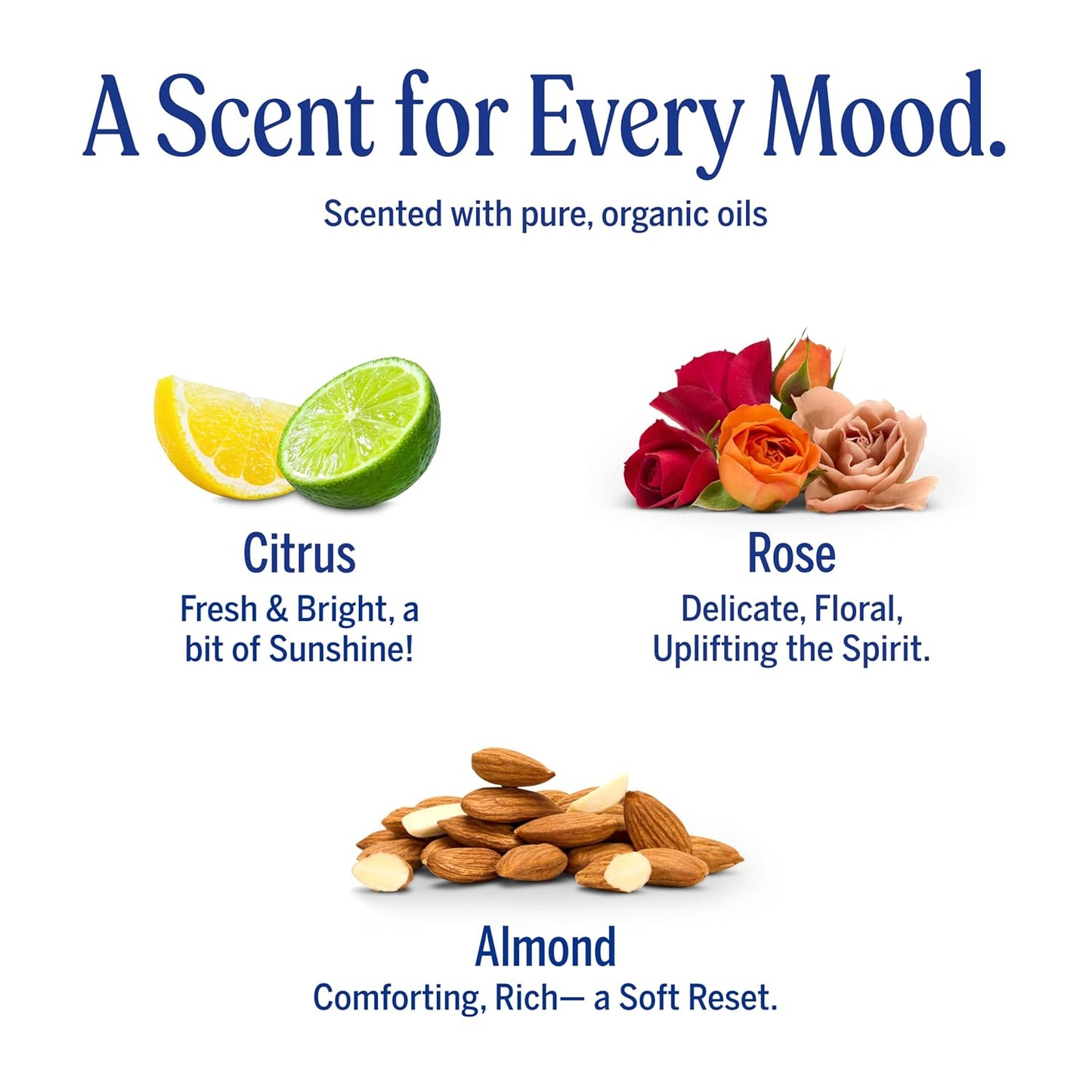 HotDr. Bronner's Pure-Castile Magic Bar Soaps (5 Ounce Variety Gift Pack) Almond, Unscented, Lavender, Peppermint, Citrus, Rose - Made with Regenerative Organic Certified Oils, Vegan, Non-GMO