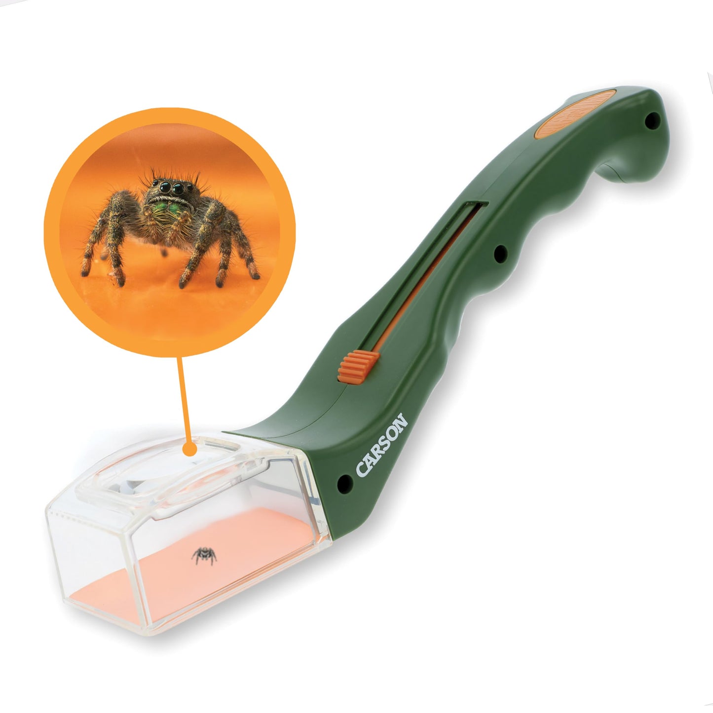 HotCarson BugView 5X Magnifying Glass Quick-Release Bug Catcher Indoor and Outdoor Tool for Kids or Adults (HU-10)