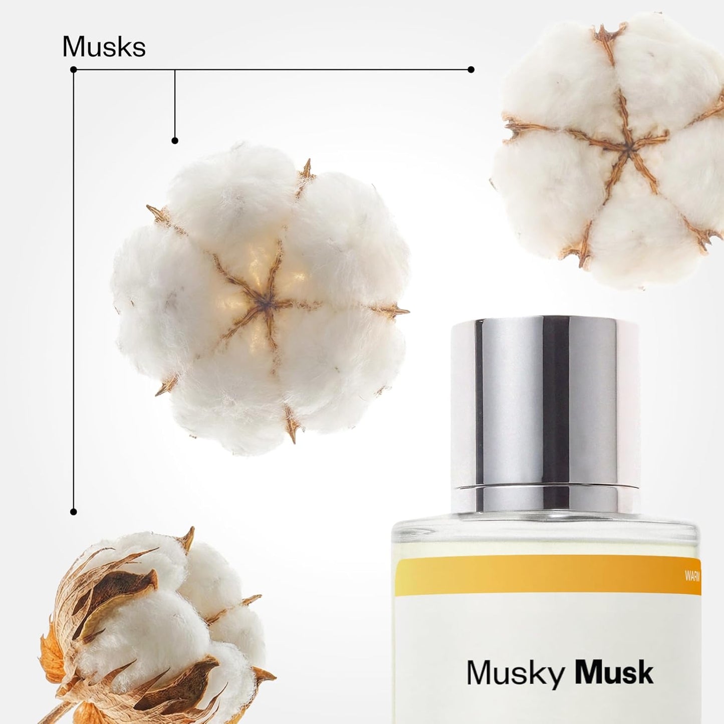 Hot Dossier - Musky Musk - Eau de Parfum - Inspired by Not a Perfume - Long-Lasting Fragrance - Unisex - 1.7 fl oz (50ml)