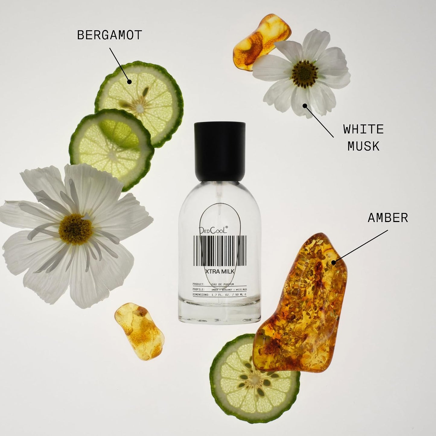 Hot DedCool, Eau de Parfum, Xtra Milk, Clean Unisex Fragrance, 1.7 fl oz | Bergamot, white musk & amber notes, non-toxic & vegan