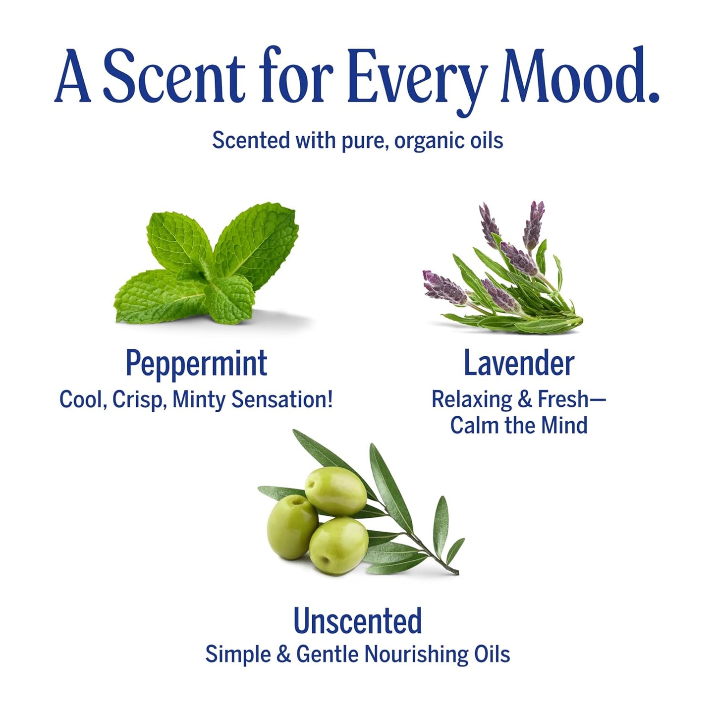 HotDr. Bronner's Pure-Castile Magic Bar Soaps (5 Ounce Variety Gift Pack) Almond, Unscented, Lavender, Peppermint, Citrus, Rose - Made with Regenerative Organic Certified Oils, Vegan, Non-GMO