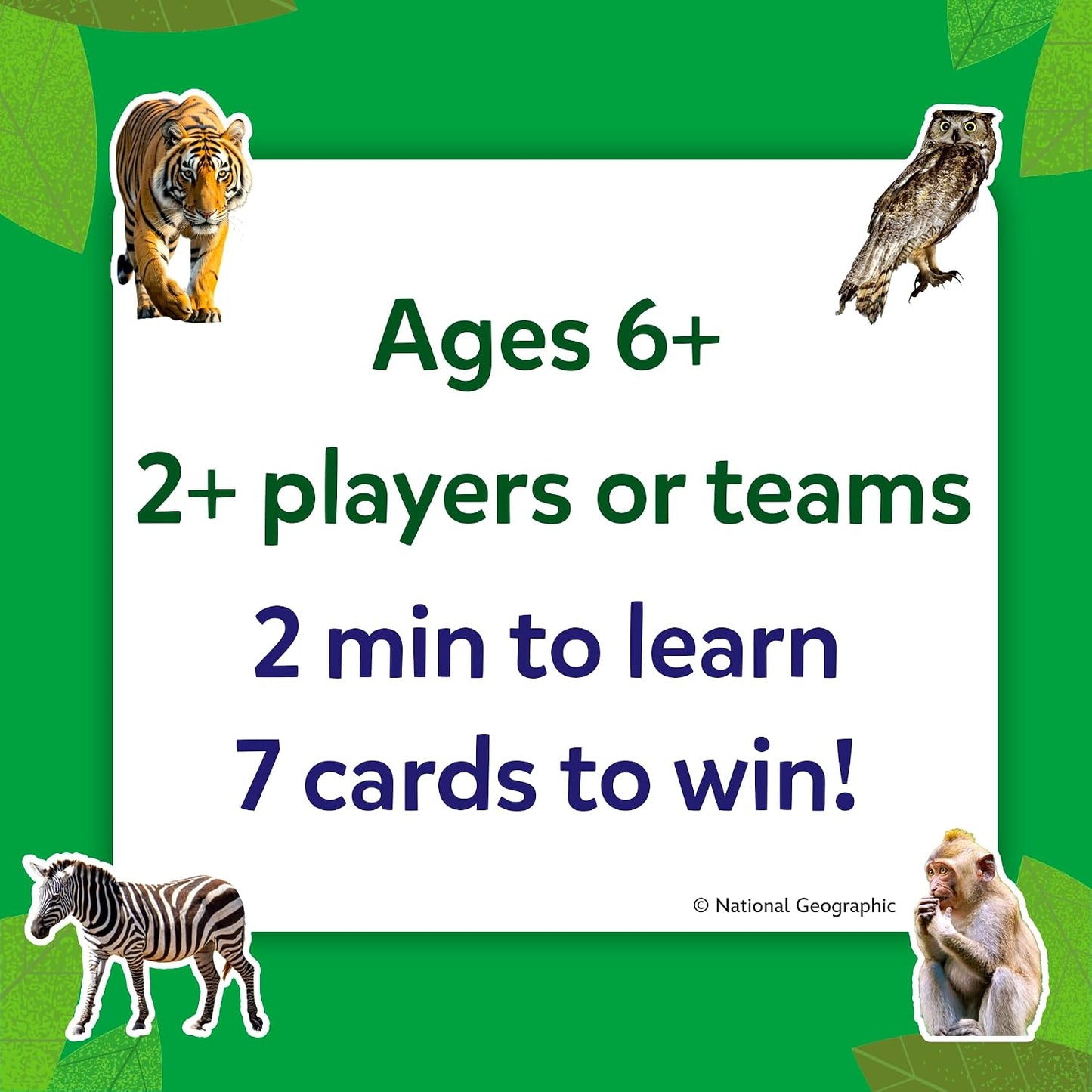 Hot Skillmatics Guess in 10 – National Geographic Animals, Card Game for Kids | Educational Game for Families, Animal Trivia & Travel Game, Screen-Free Fun, Gifts for Kids Ages 6, 7, 8, 9 and Up