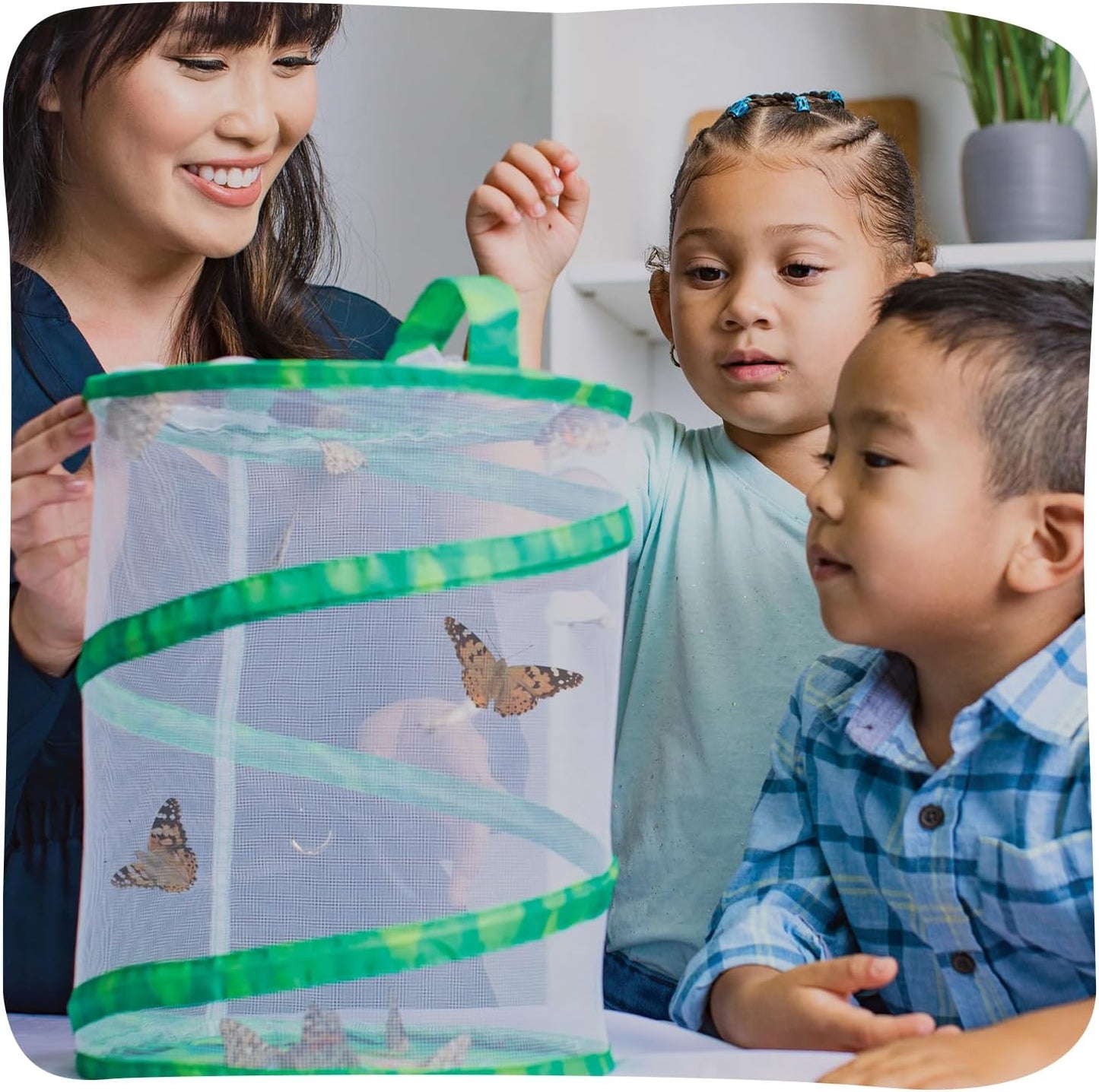 HotInsect Lore Raise and Release Butterfly Garden Kit – Caterpillar Habitat with redeemable Voucher – STEM-accredited Butterfly Growing Kit for Kids, Classrooms, and Homeschool Learning