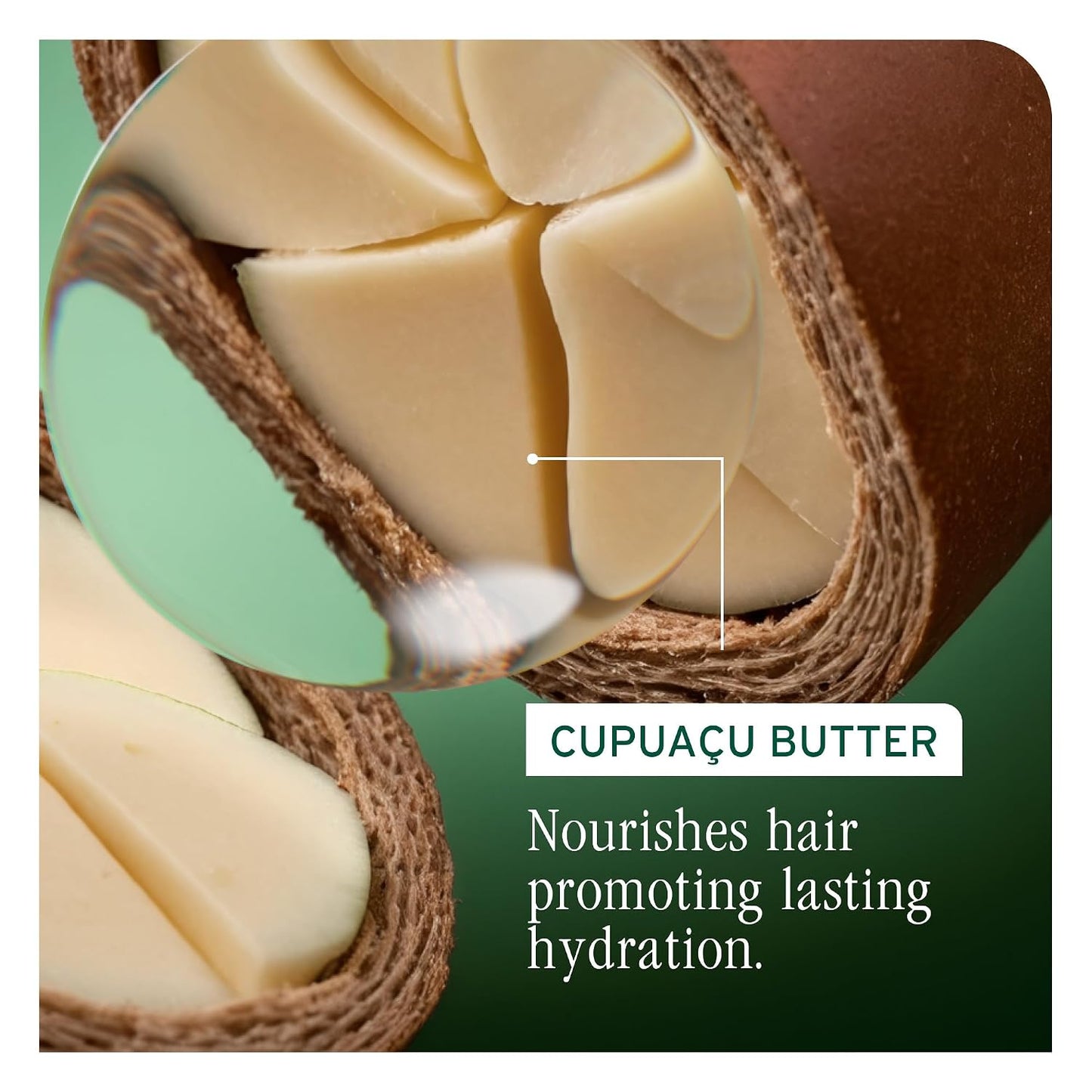 HotBiolage Ultra Hydra Source Conditioner - Intensely Moisturizes and Conditions, Prevents Frizz and Flyaways, For Very Dry, Thick, Coarse Hair, Infused with Micro-dosed Cupuaçu Butter & Salicylic Acid