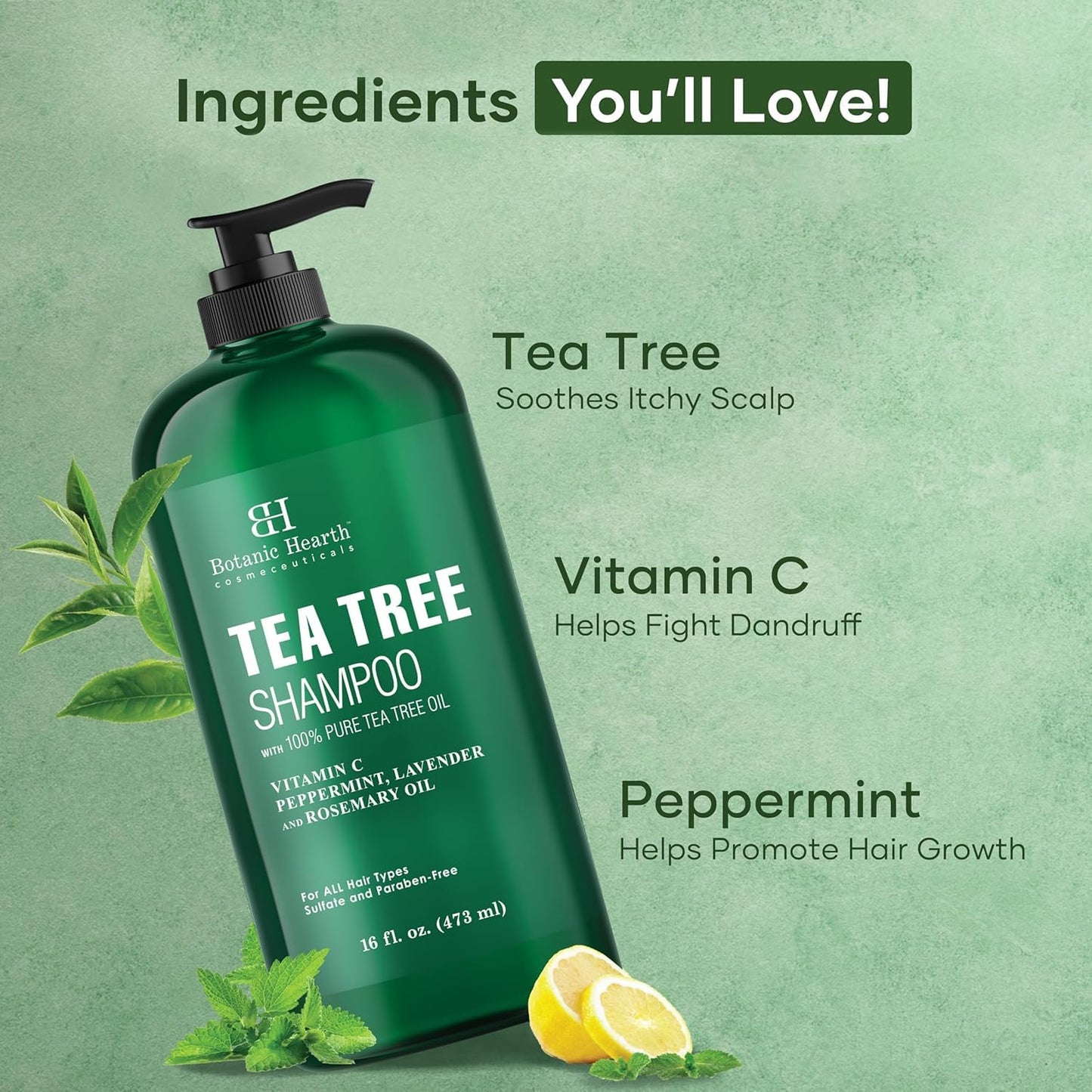 HotBotanic Hearth Tea Tree Shampoo, Vitamin C, Peppermint, Lavender and Rosemary Oil, Fights Dandruff and Dry Scalp, 16 fl oz