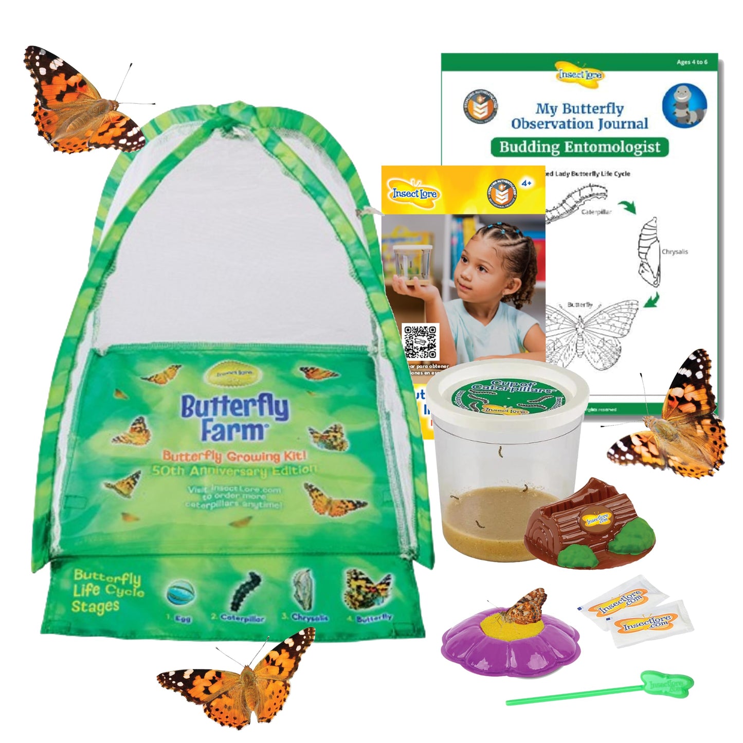Hot Insect Lore Butterfly Garden with 5 Live Baby Caterpillars - STEM Activity Journal, Habitat, Chrys-A-Lid Holder and Feeder Included | Raise and Release Painted Lady Butterflies