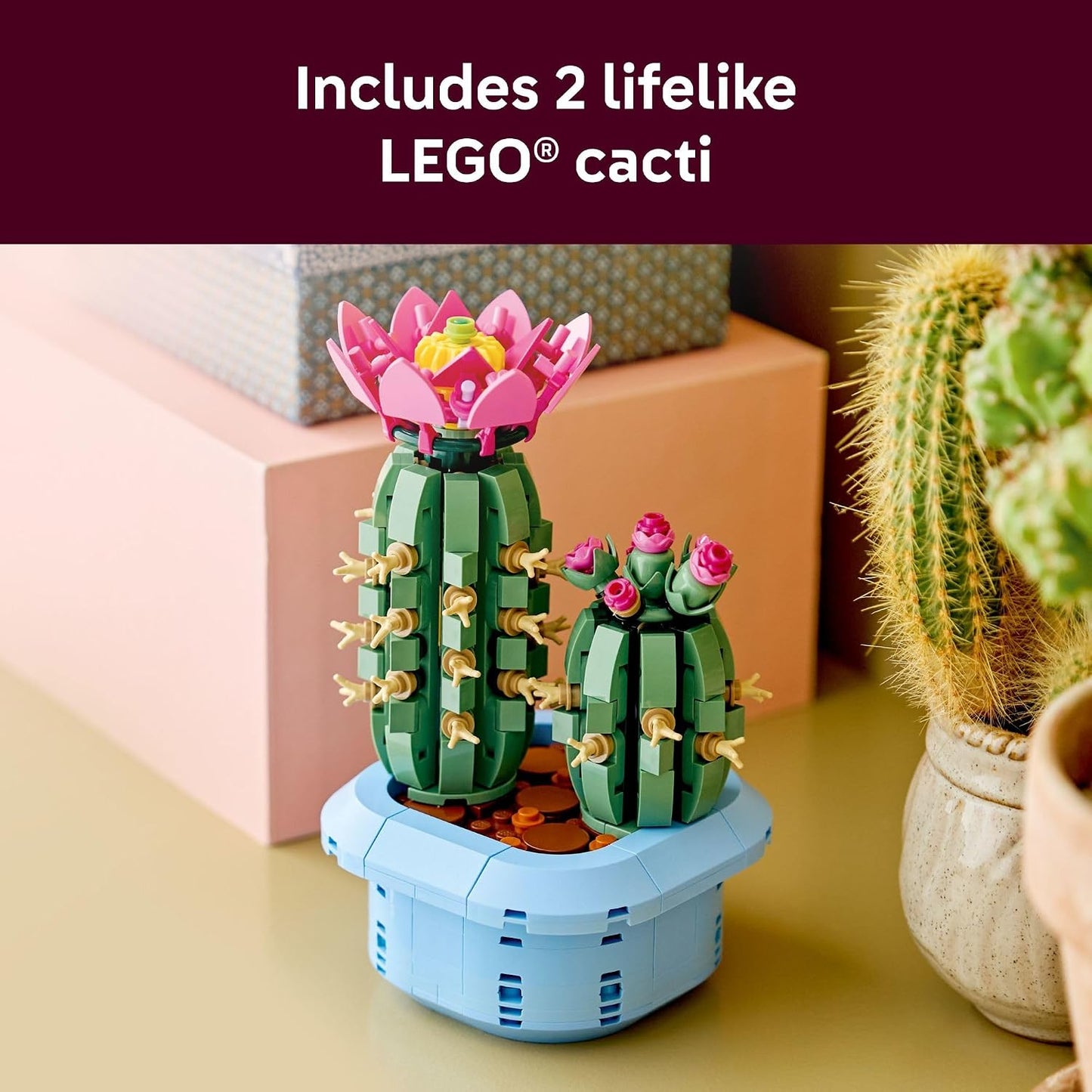 HotLEGO Botanicals Flowering Cactus Building Toy - Crafting Kit for Girls & Boys, Ages 9+ - Gift for Birthdays - Cactus Room Decor for Display for Bedroom or Book Shelf - 11509