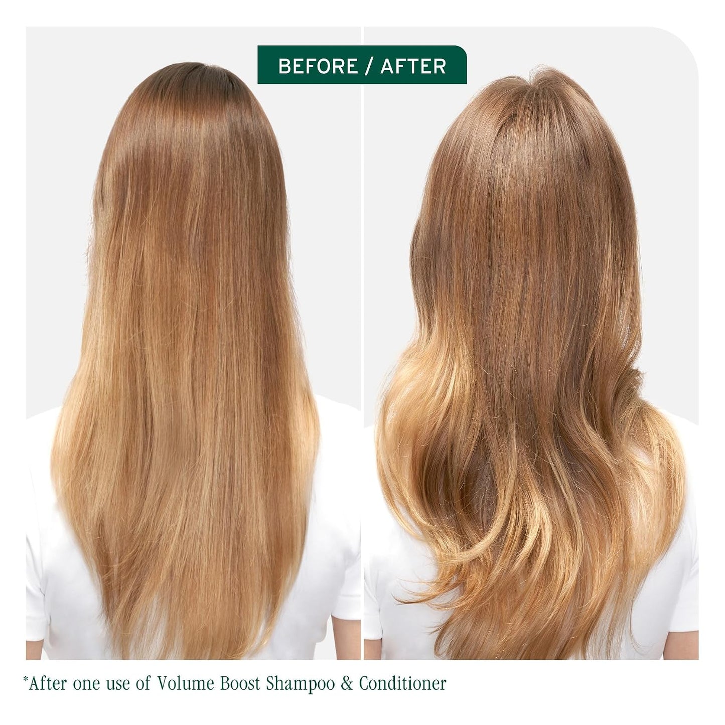 HotBiolage Volume Boost Conditioner - Weightless Moisture, Shine & Volume, Detangles Fine Hair, Soy Protein & Polymers, Vegan & Paraben-Free