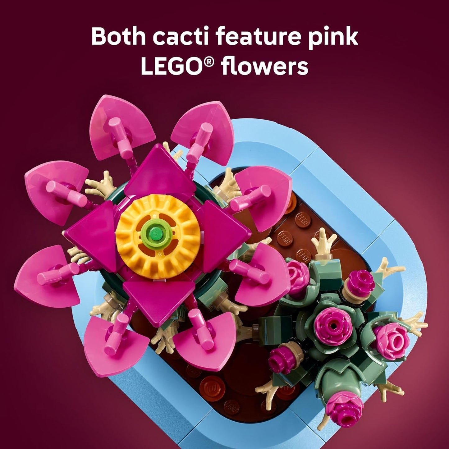 HotLEGO Botanicals Flowering Cactus Building Toy - Crafting Kit for Girls & Boys, Ages 9+ - Gift for Birthdays - Cactus Room Decor for Display for Bedroom or Book Shelf - 11509