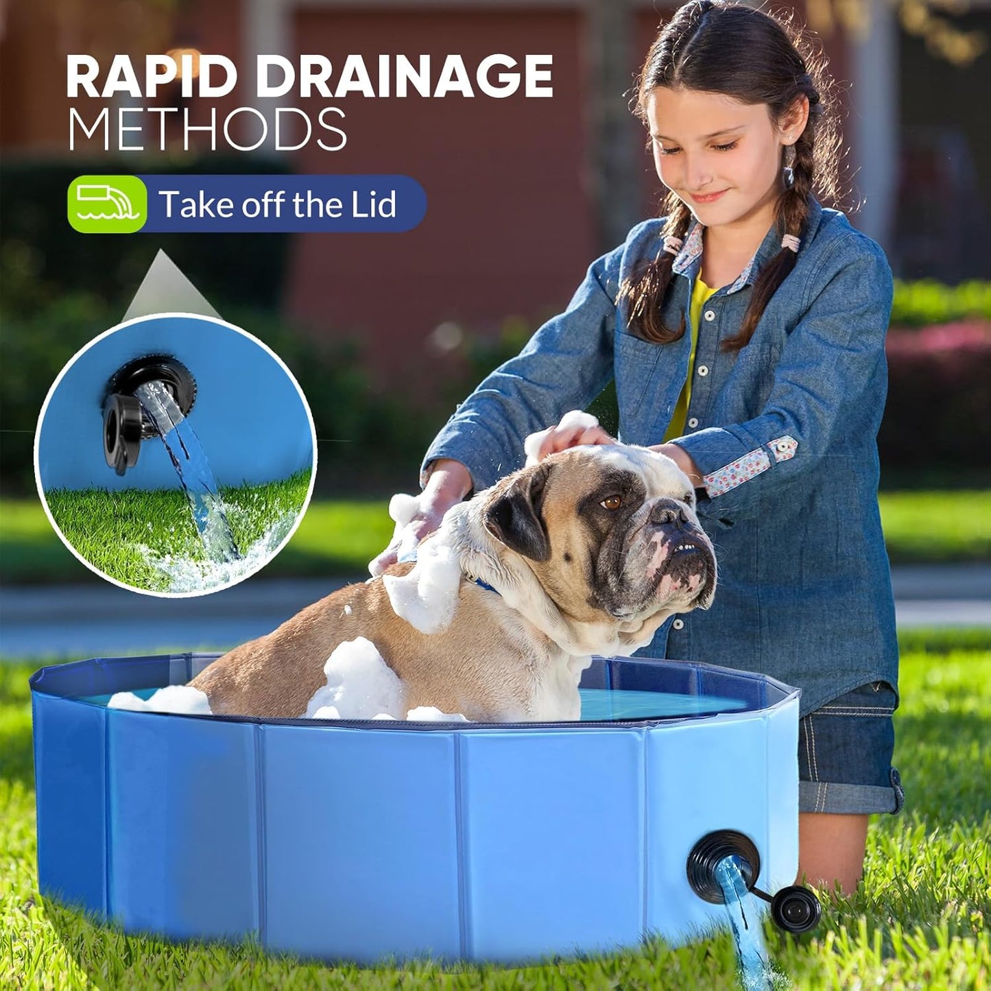 HotDog Pool, Foldable Pet Swimming Pool with 6mm High-Strength PP Board, Hard Plastic Collapsible Doggy Pools for Small Dogs Kitty Duck,Non-Slip Doggie Bathtub Quick to Set Up and Drainage Hole(32x8in)