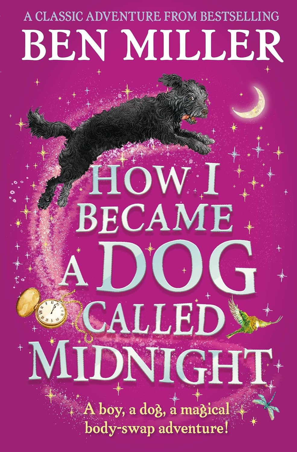 Hot How I Became a Dog Called Midnight: A magical adventure from the bestselling author of The Day I Fell Into a Fairytale