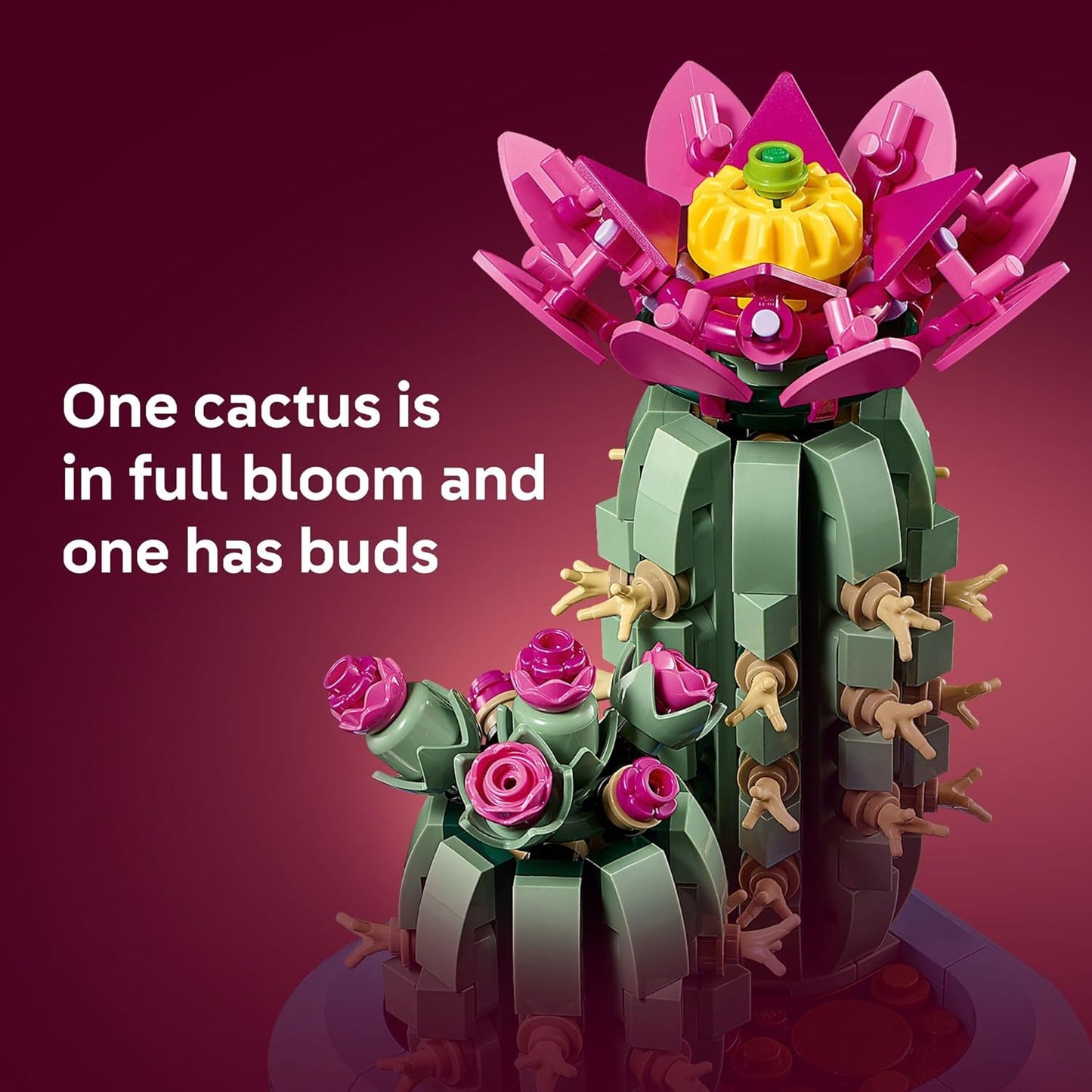 HotLEGO Botanicals Flowering Cactus Building Toy - Crafting Kit for Girls & Boys, Ages 9+ - Gift for Birthdays - Cactus Room Decor for Display for Bedroom or Book Shelf - 11509