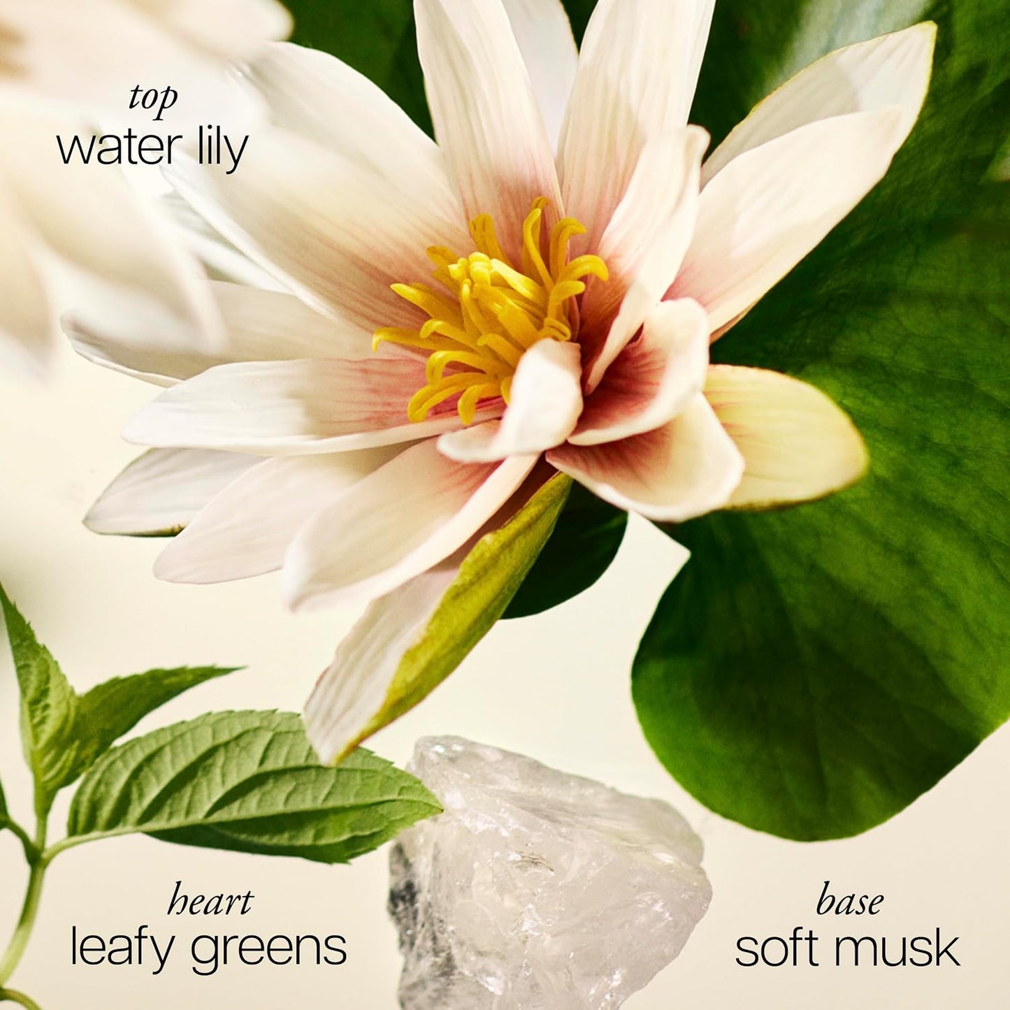 Hot philosophy pure grace eau de parfum - crisp & clean women's perfume - with notes of water lily, leafy greens & musk - long lasting fragrance - 2 fl oz