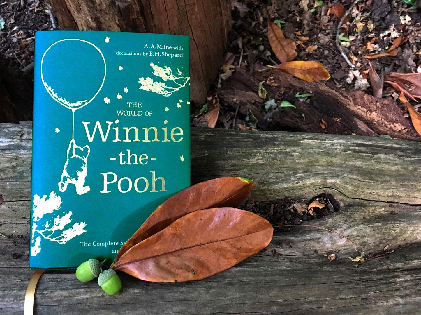 Hot Winnie-the-Pooh: The World of Winnie-the-Pooh: Perfect Present for Children and Adult fans of Milne’s Classics