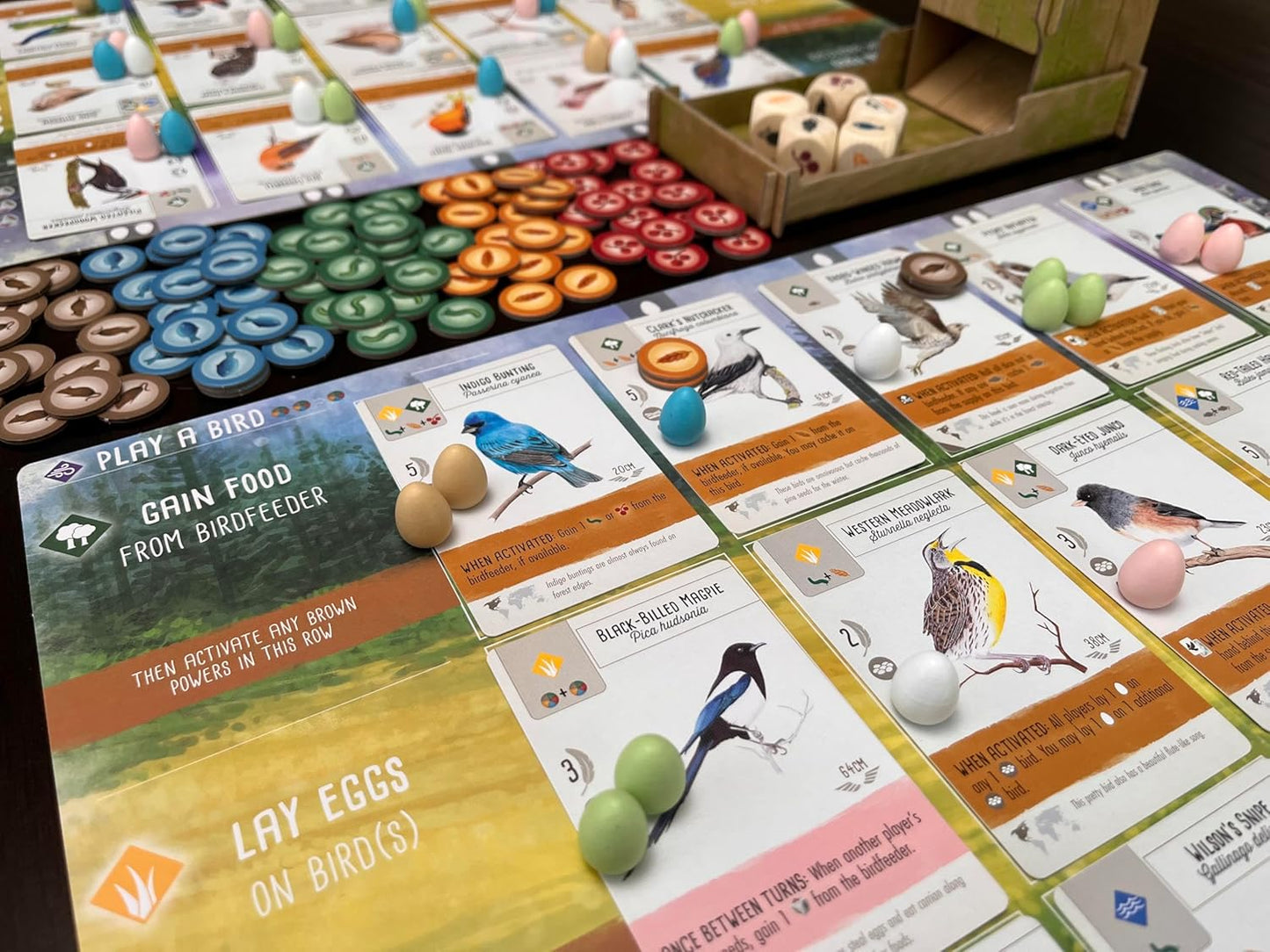 Hot Stonemaier Games: Wingspan (Base Game) by Elizabeth Hargrave | A Relaxing, Award-Winning Strategy Board Game About Collecting Birds for Adults and Family | 1-5 Players, 70 Mins
