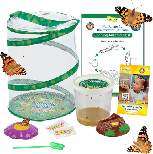 Hot Insect Lore Butterfly Garden with 5 Live Baby Caterpillars - STEM Activity Journal, Habitat, Chrys-A-Lid Holder and Feeder Included | Raise and Release Painted Lady Butterflies