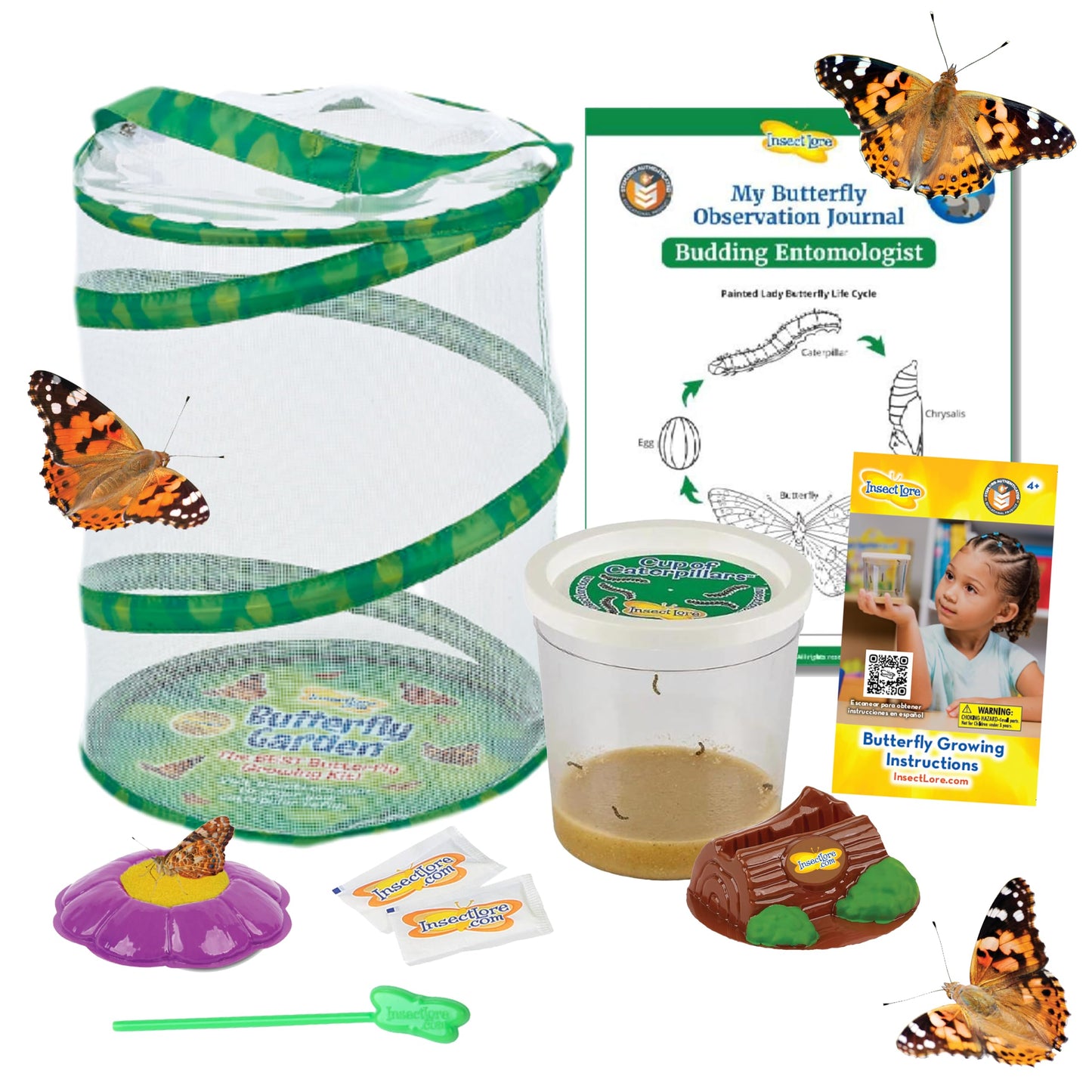 Hot Insect Lore Butterfly Garden with 5 Live Baby Caterpillars - STEM Activity Journal, Habitat, Chrys-A-Lid Holder and Feeder Included | Raise and Release Painted Lady Butterflies