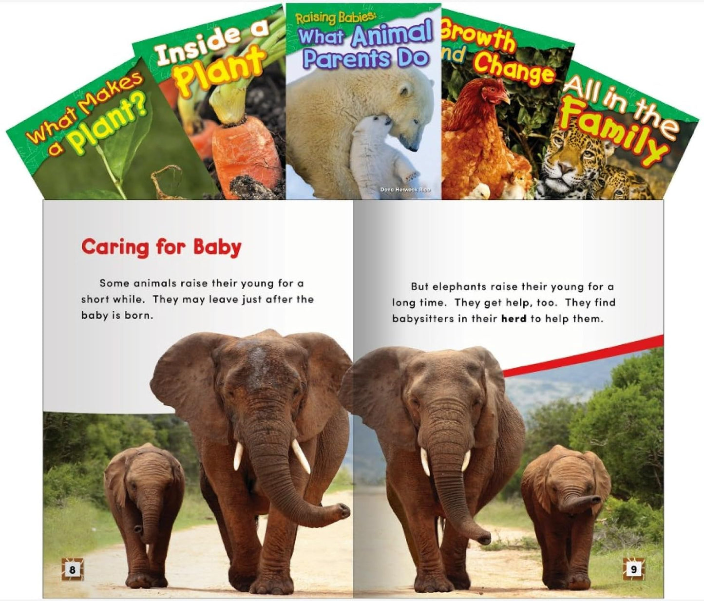 Hot Life Science Grade 1: 5-Book Set