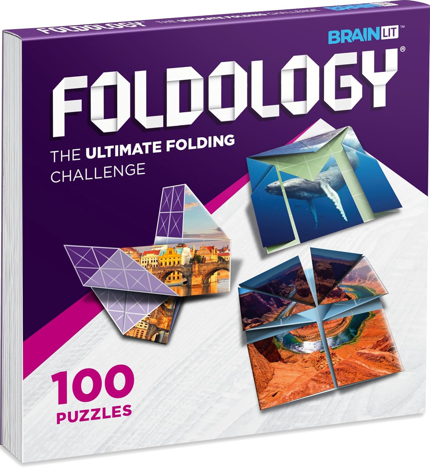 HotFOLDOLOGY - The Origami Puzzle Game! Brain Teasers for Tweens, Teens & Adults | Travel Game, STEM Toy | Fold the Paper, Complete the Picture | 100 Puzzles | Gift for Ages 10+