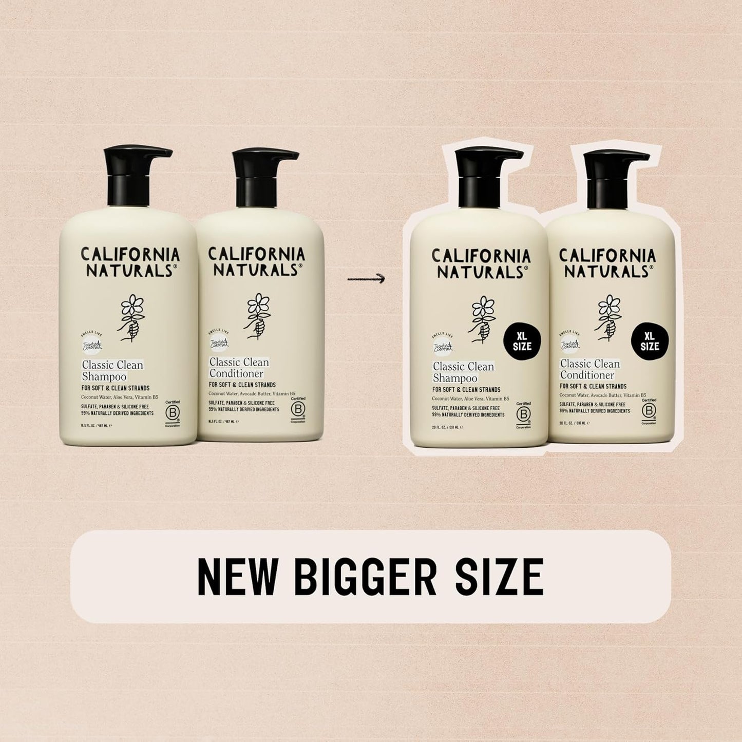 HotCalifornia Naturals Classic Clean Toasted Coconut Shampoo Conditioner Set, Natural, Vegan, Cruelty, Silicone, Paraben, and Sulfate Free, All Hair Types, 20 Fl Oz