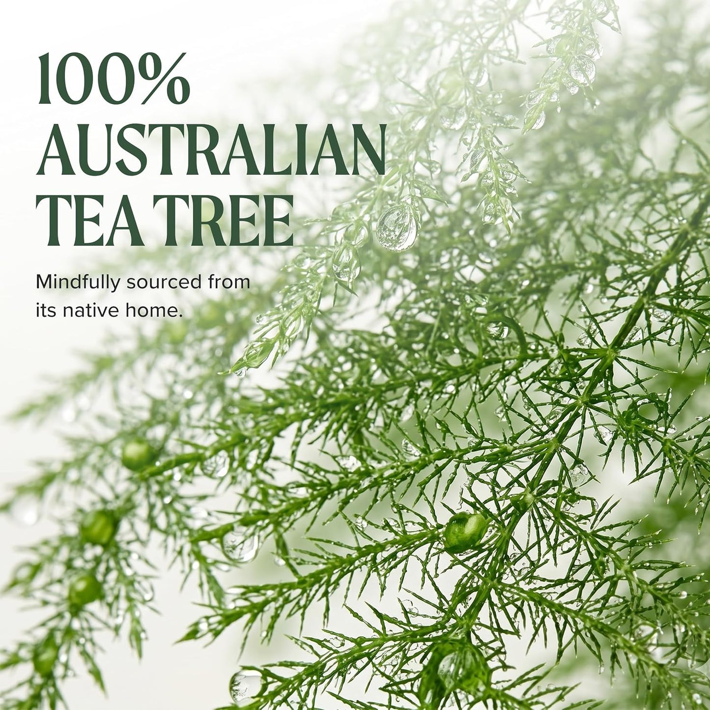 HotTea Tree Hair and Body Moisturizer Leave-In Conditioner, Body Lotion, After-Shave Cream, For All Hair + Skin Types