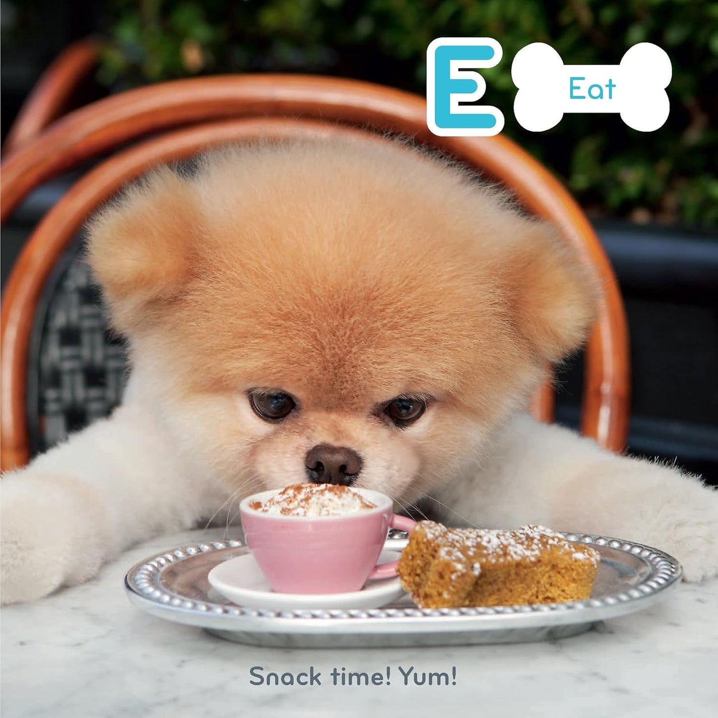 Hot Boo ABC: A to Z with the World's Cutest Dog