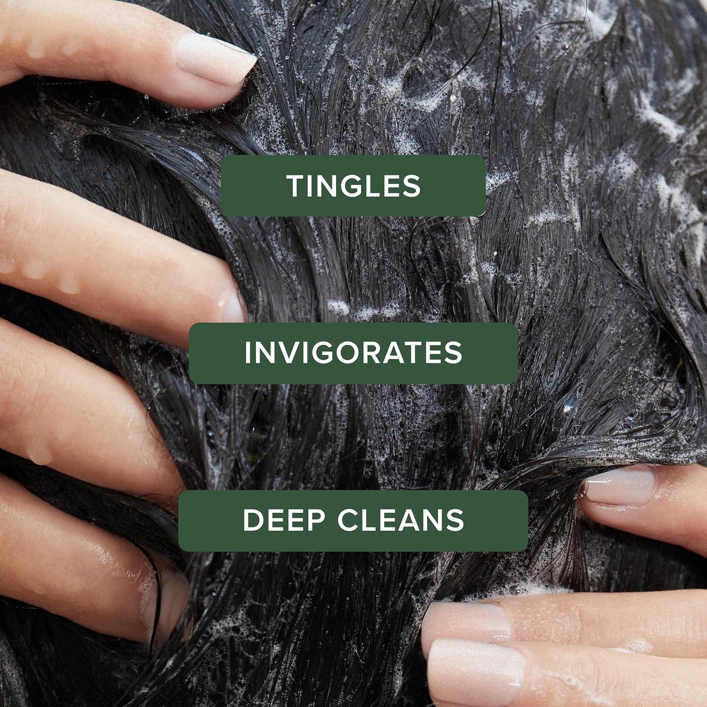 HotTea Tree Special Shampoo, Deep Cleans, Refreshes Scalp, For All Hair Types, Especially Oily Hair