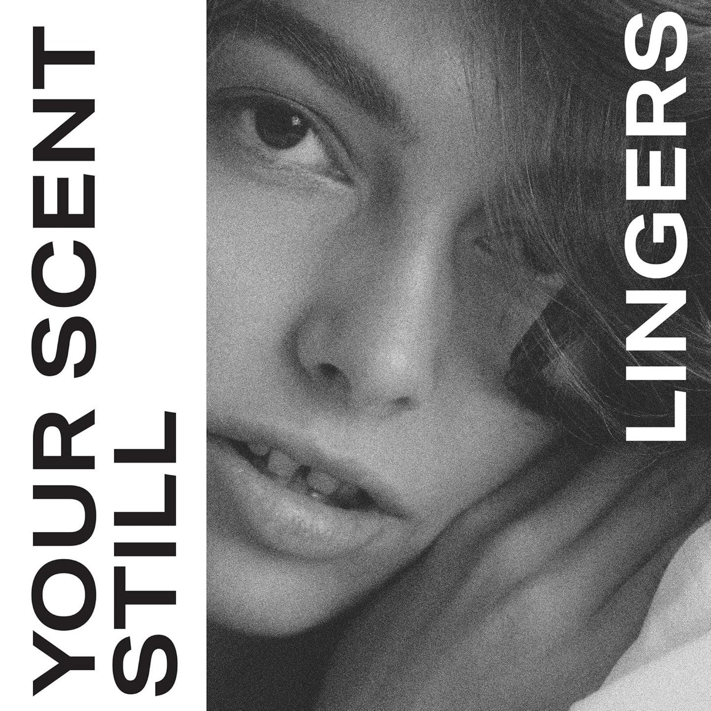 Hot PHLUR Missing Person Perfume for Women & Men, 9.5 mL – Soft Musk and Jasmine Eau de Parfum with Bergamot, Neroli Blossom & Sandalwood | Soft Musk and Jasmine Eau de Parfum with Bergamot, Neroli Blossom & Sandalwood